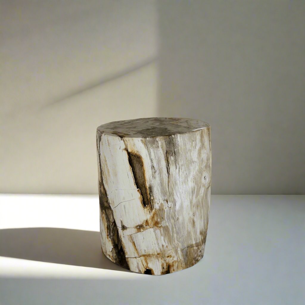 Kalifano Petrified Wood Petrified Wood Round Stump / Stool from Indonesia - 18" / 209 lbs PWS3800.003