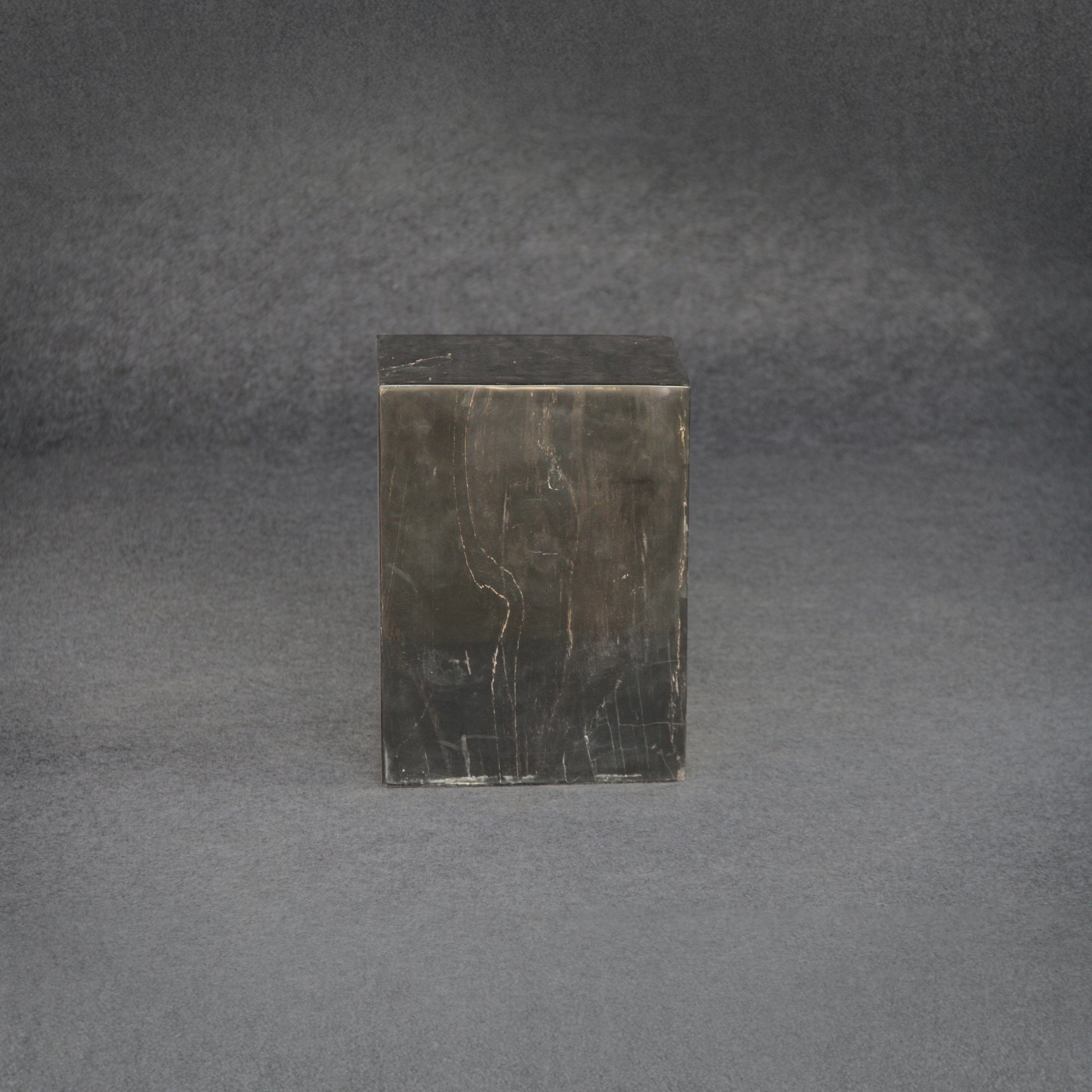 Kalifano Petrified Wood Petrified Wood Square Stump / Stool 16" / 176 lbs PWSS5400.001
