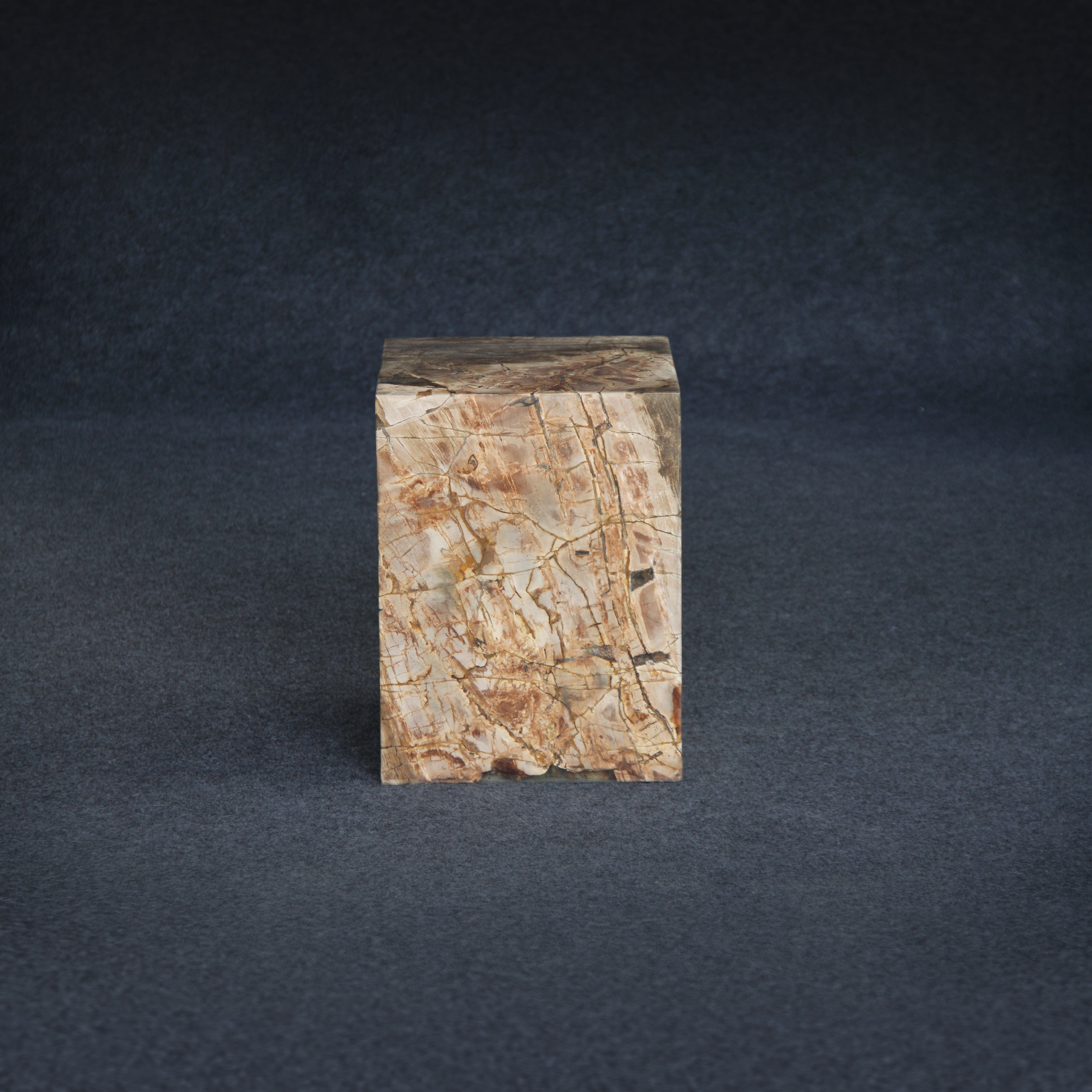 Kalifano Petrified Wood Petrified Wood Square Stump / Stool 16" / 194 lbs PWSS6000.003