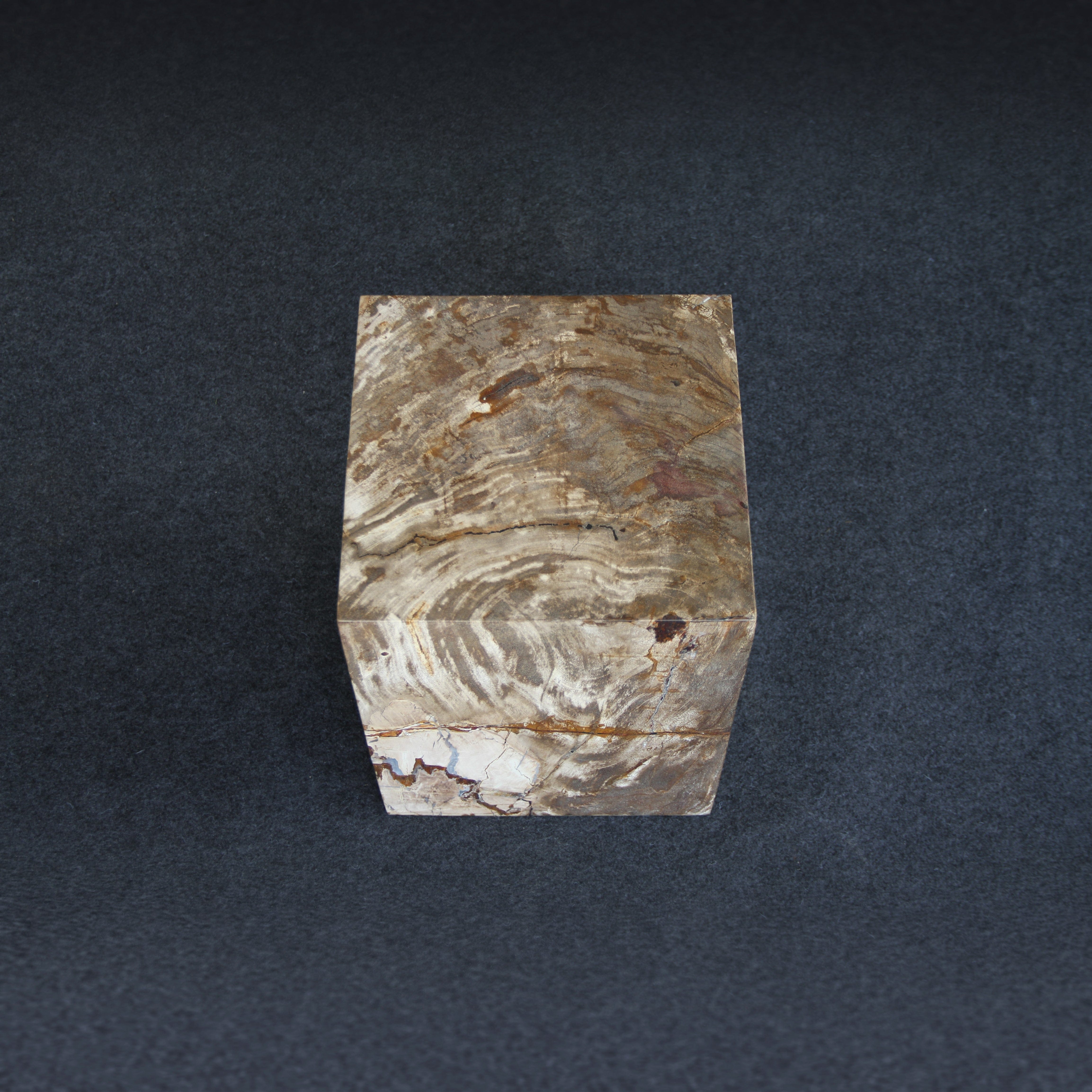Kalifano Petrified Wood Petrified Wood Square Stump / Stool 16" / 196 lbs PWBS11200.011