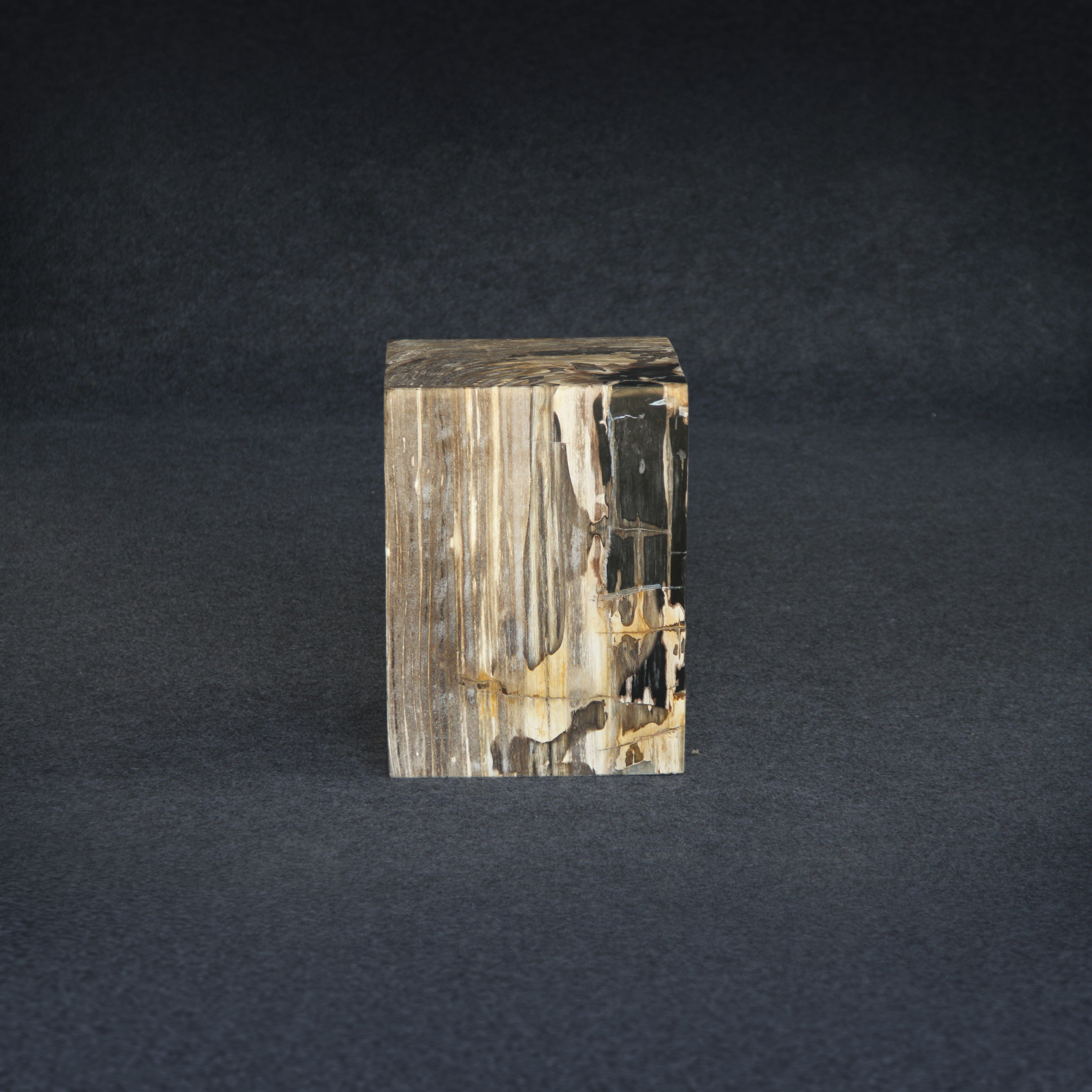 Kalifano Petrified Wood Petrified Wood Square Stump / Stool 16" / 198 lbs PWSS6200.002