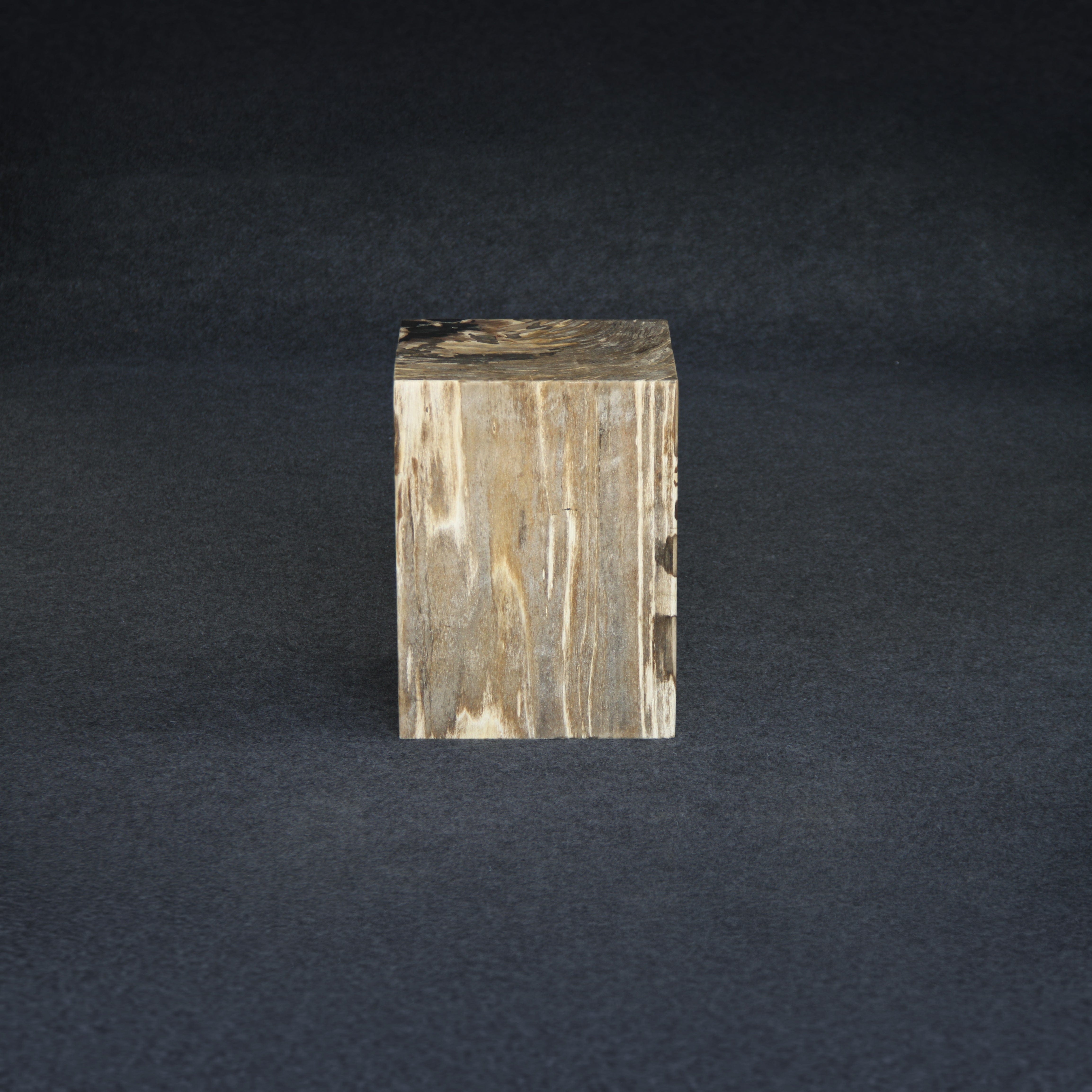 Kalifano Petrified Wood Petrified Wood Square Stump / Stool 16" / 198 lbs PWSS6200.002