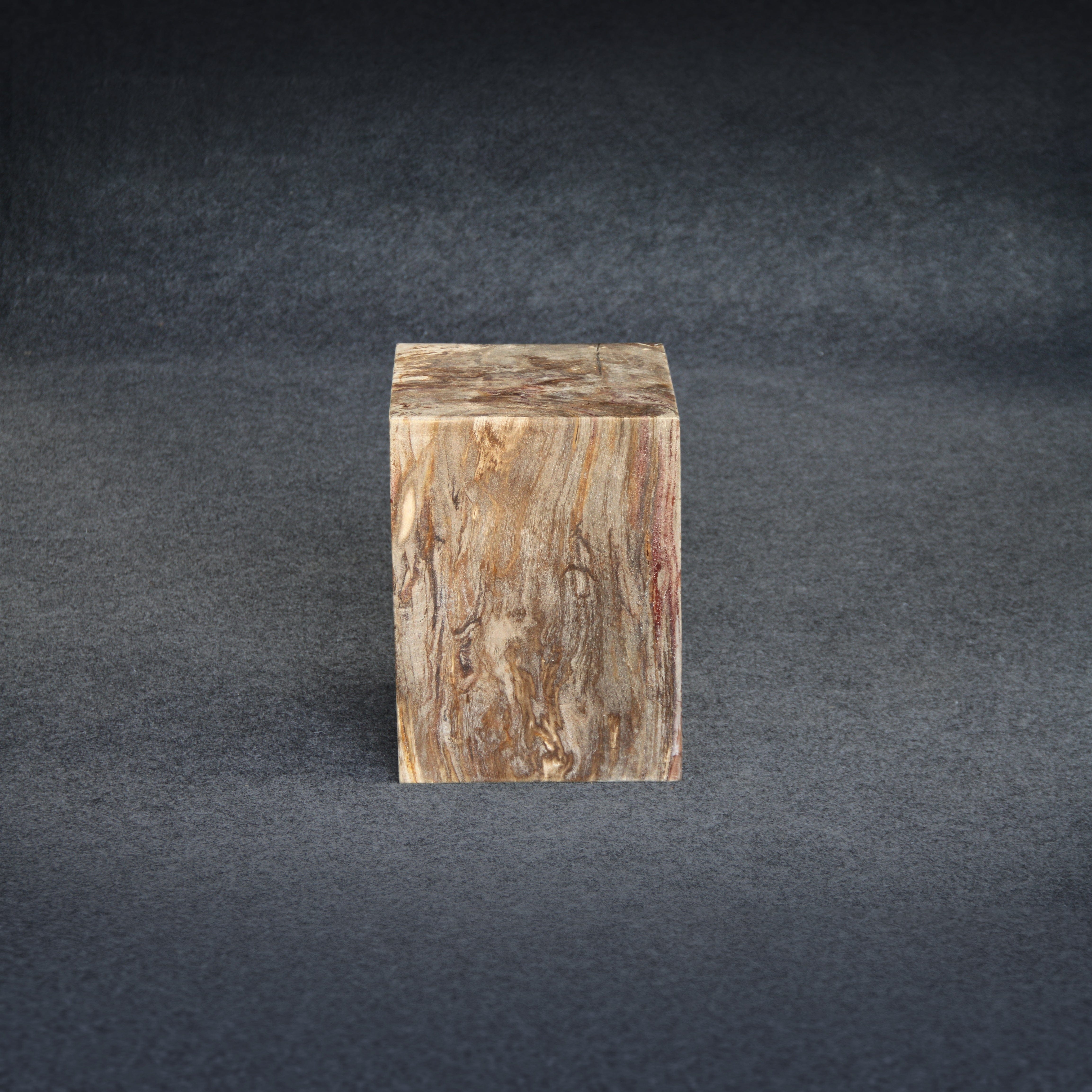 Kalifano Petrified Wood Petrified Wood Square Stump / Stool 16" / 198 lbs PWSS6200.004