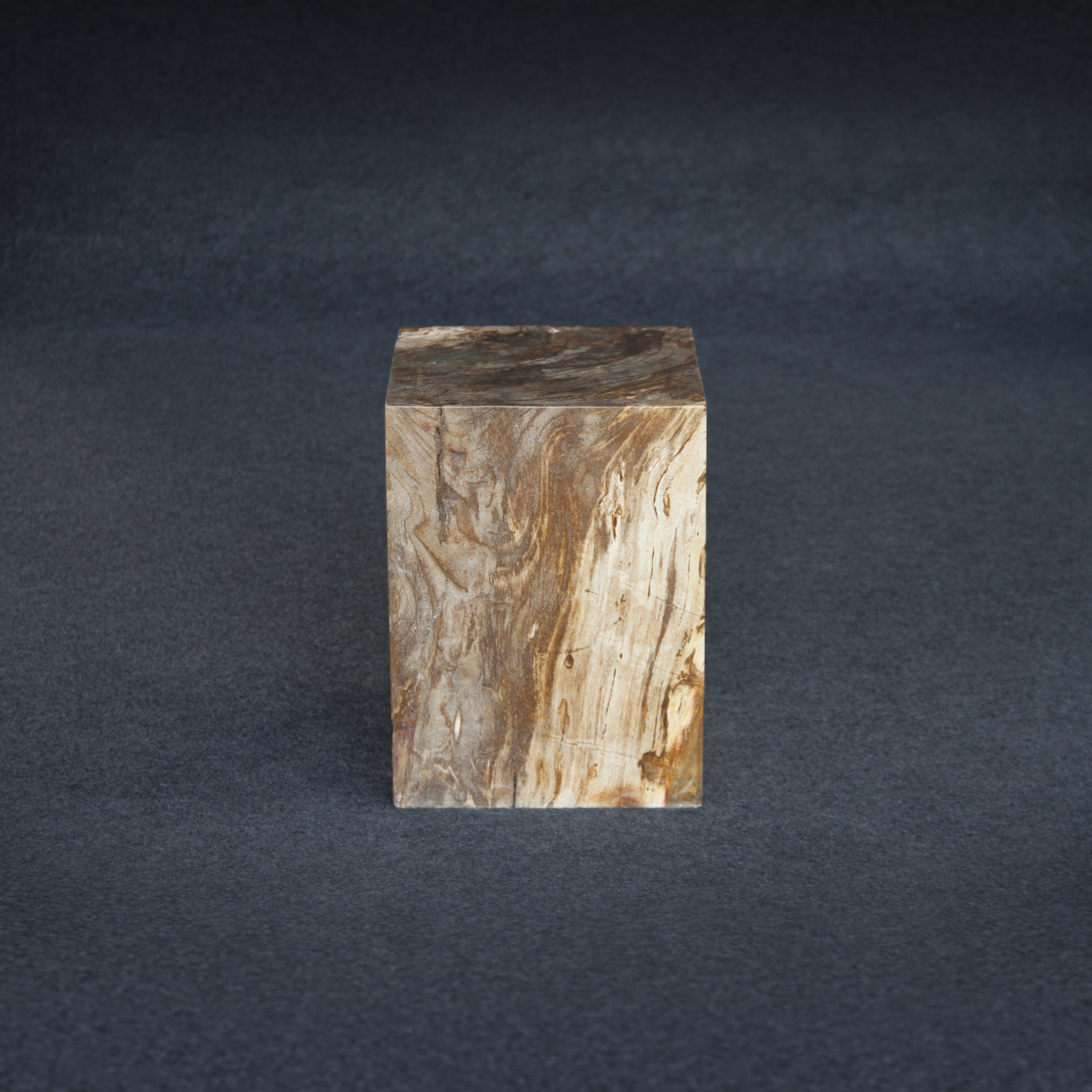 Kalifano Petrified Wood Petrified Wood Square Stump / Stool 16" / 198 lbs PWSS6200.005