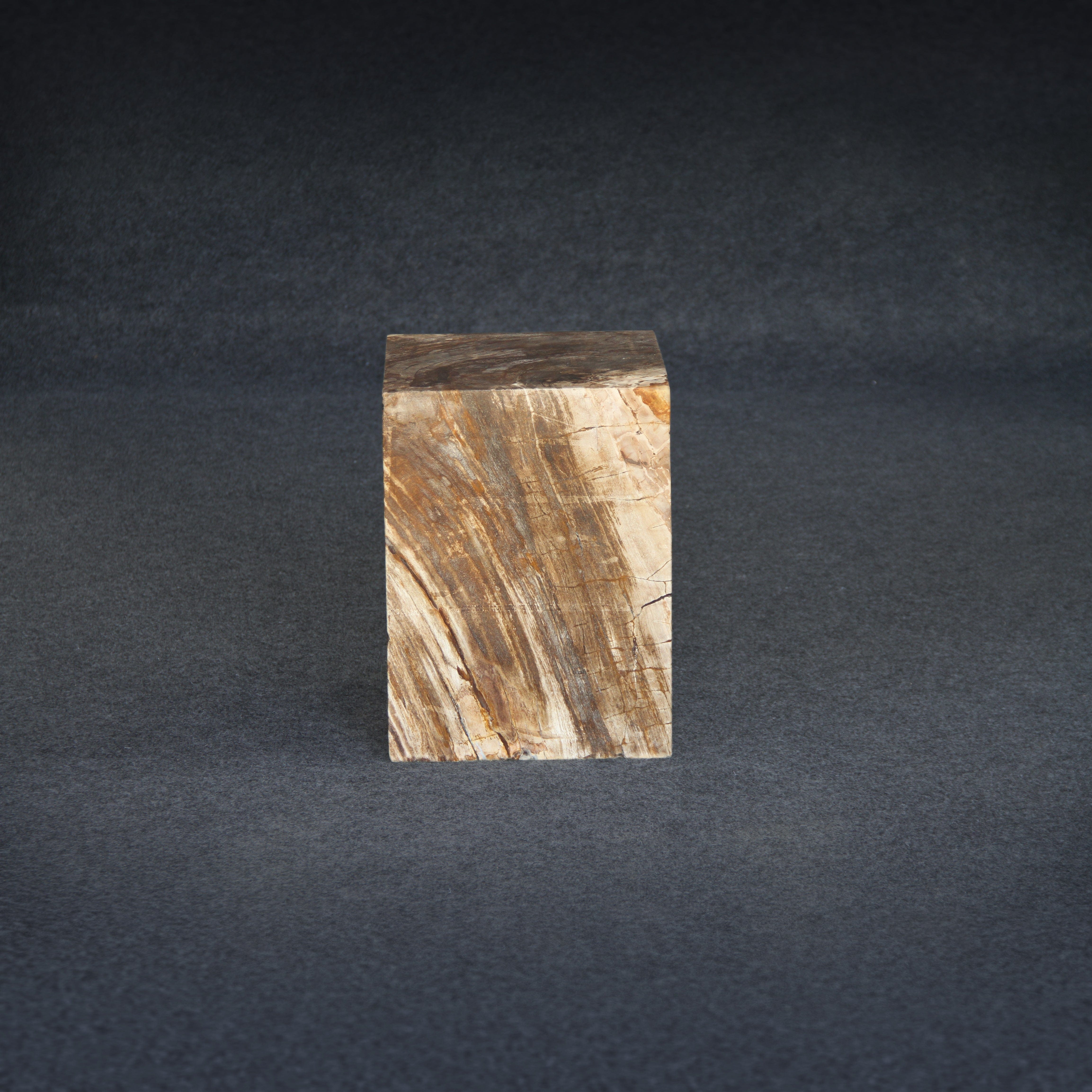 Kalifano Petrified Wood Petrified Wood Square Stump / Stool 16" / 198 lbs PWSS6200.005
