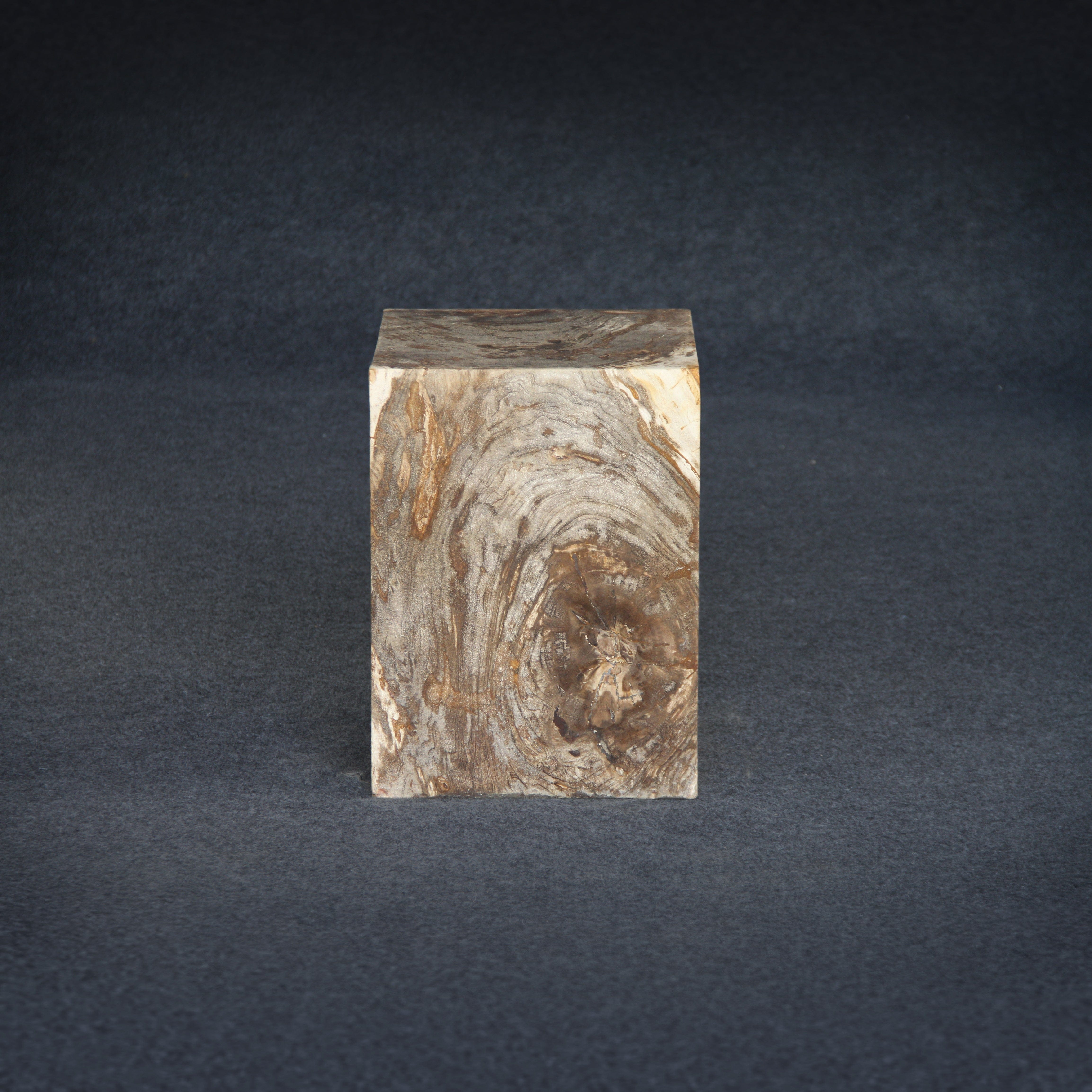 Kalifano Petrified Wood Petrified Wood Square Stump / Stool 16" / 198 lbs PWSS6200.006