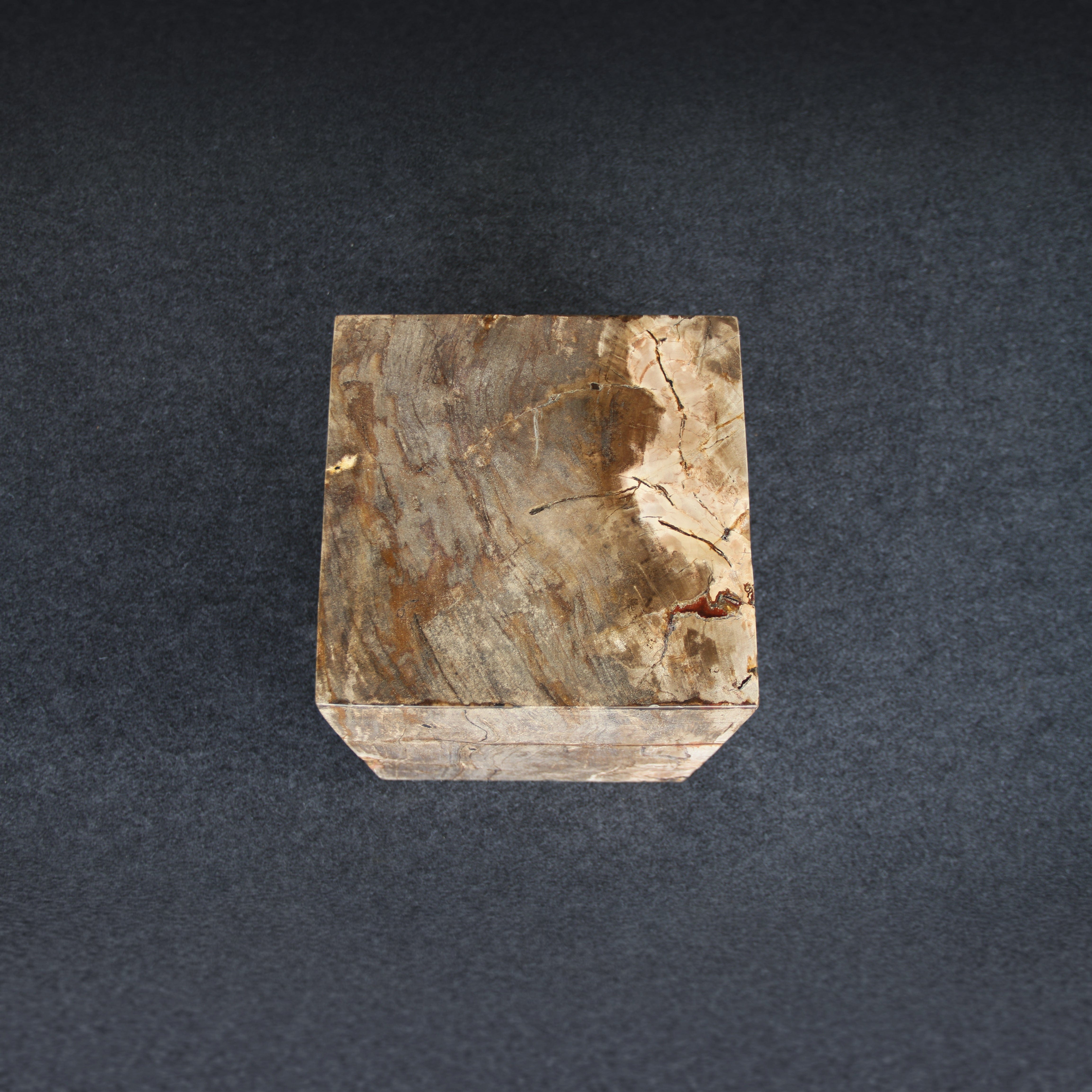 Kalifano Petrified Wood Petrified Wood Square Stump / Stool 16" / 198 lbs PWSS6200.007