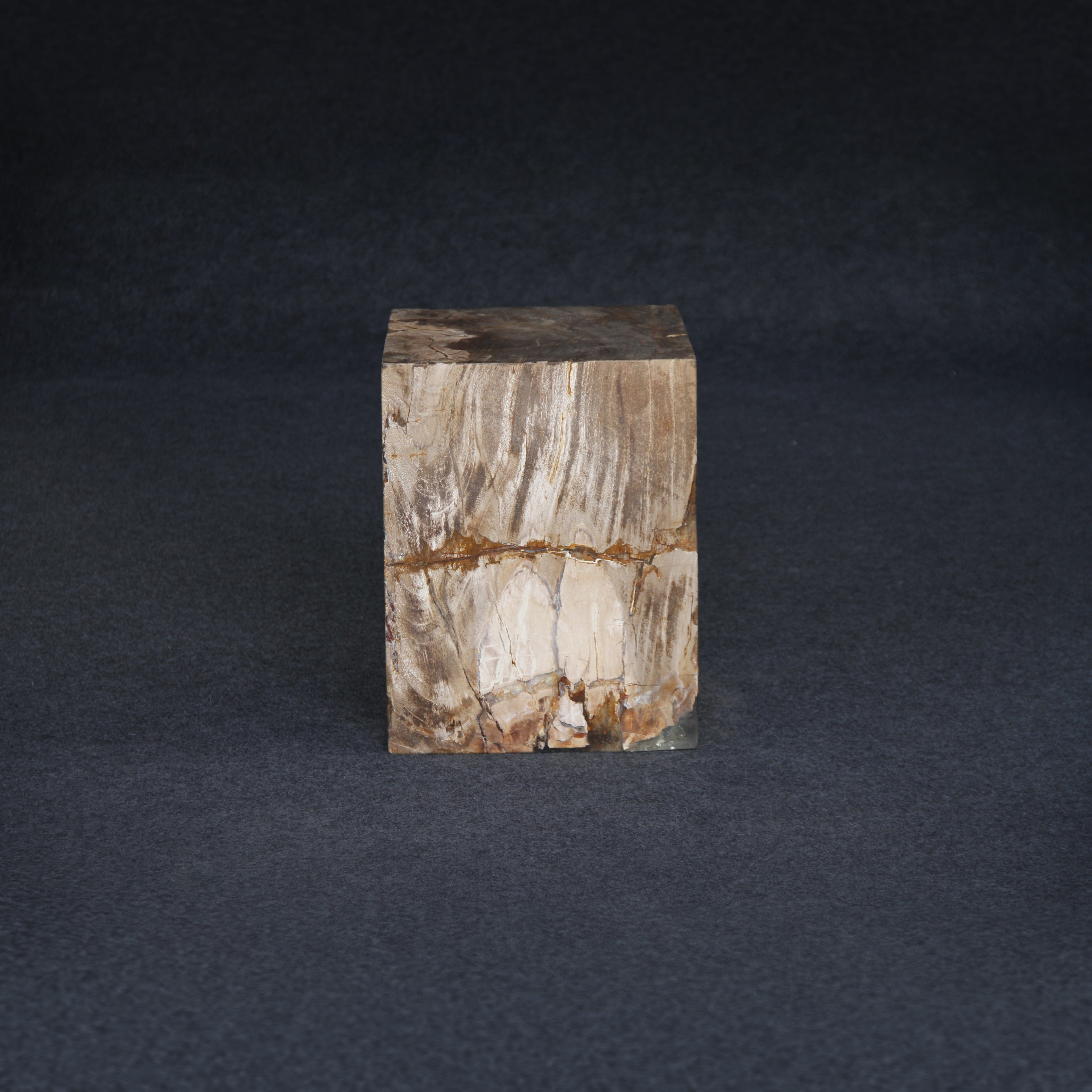 Kalifano Petrified Wood Petrified Wood Square Stump / Stool 16" / 198 lbs PWSS6200.007