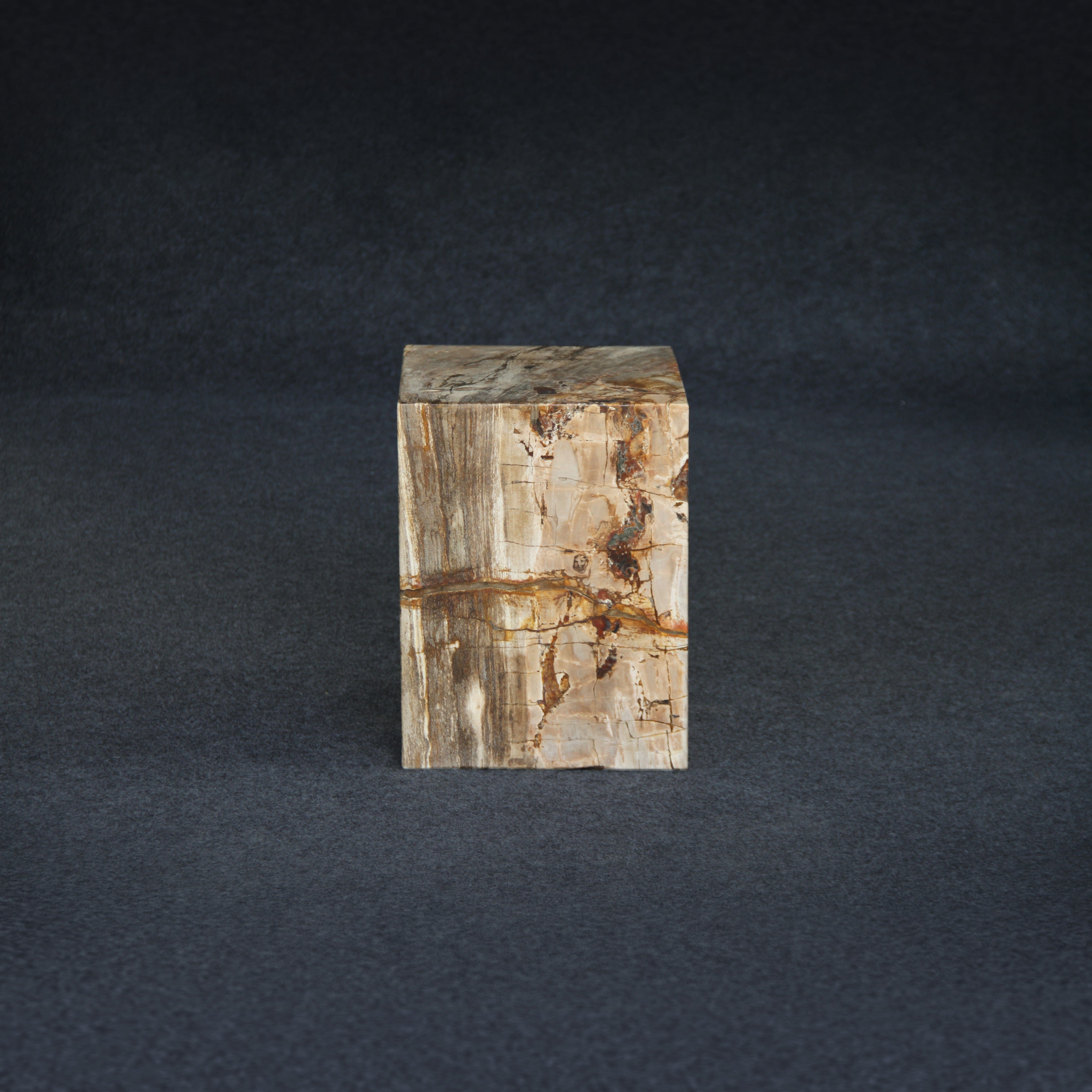 Kalifano Petrified Wood Petrified Wood Square Stump / Stool 16" / 201 lbs PWSS6200.003