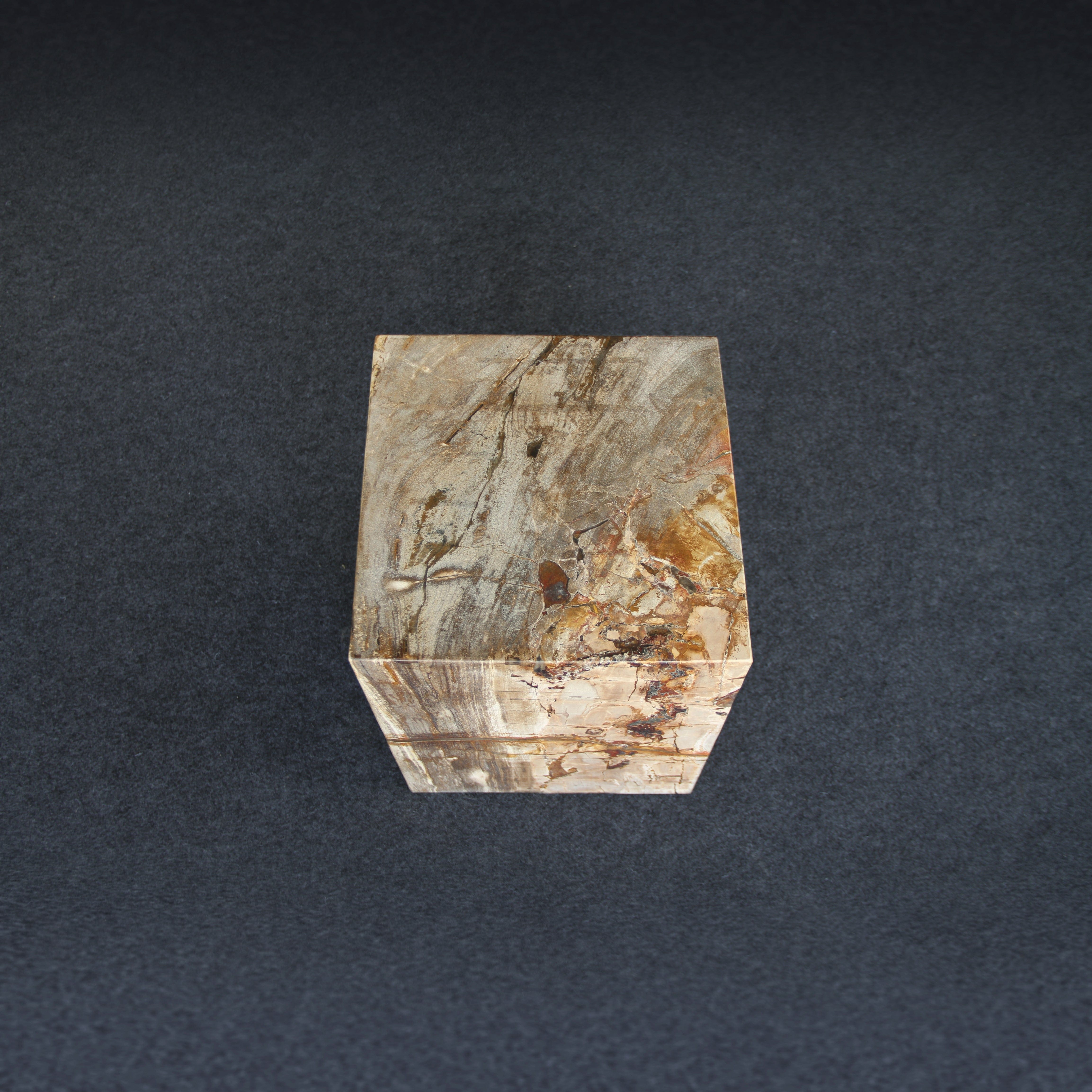 Kalifano Petrified Wood Petrified Wood Square Stump / Stool 16" / 201 lbs PWSS6200.003