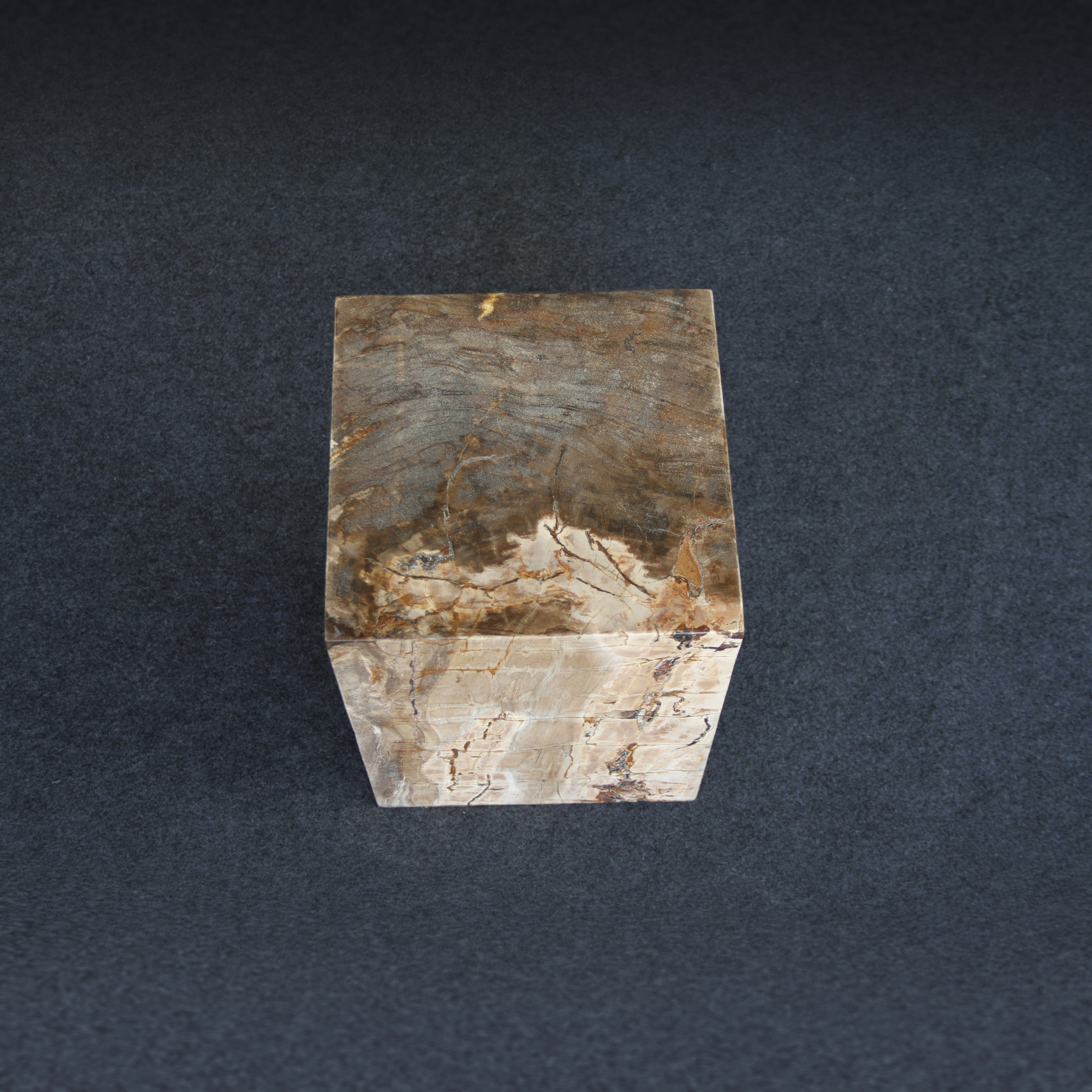 Kalifano Petrified Wood Petrified Wood Square Stump / Stool 16" / 203 lbs PWSS6200.009