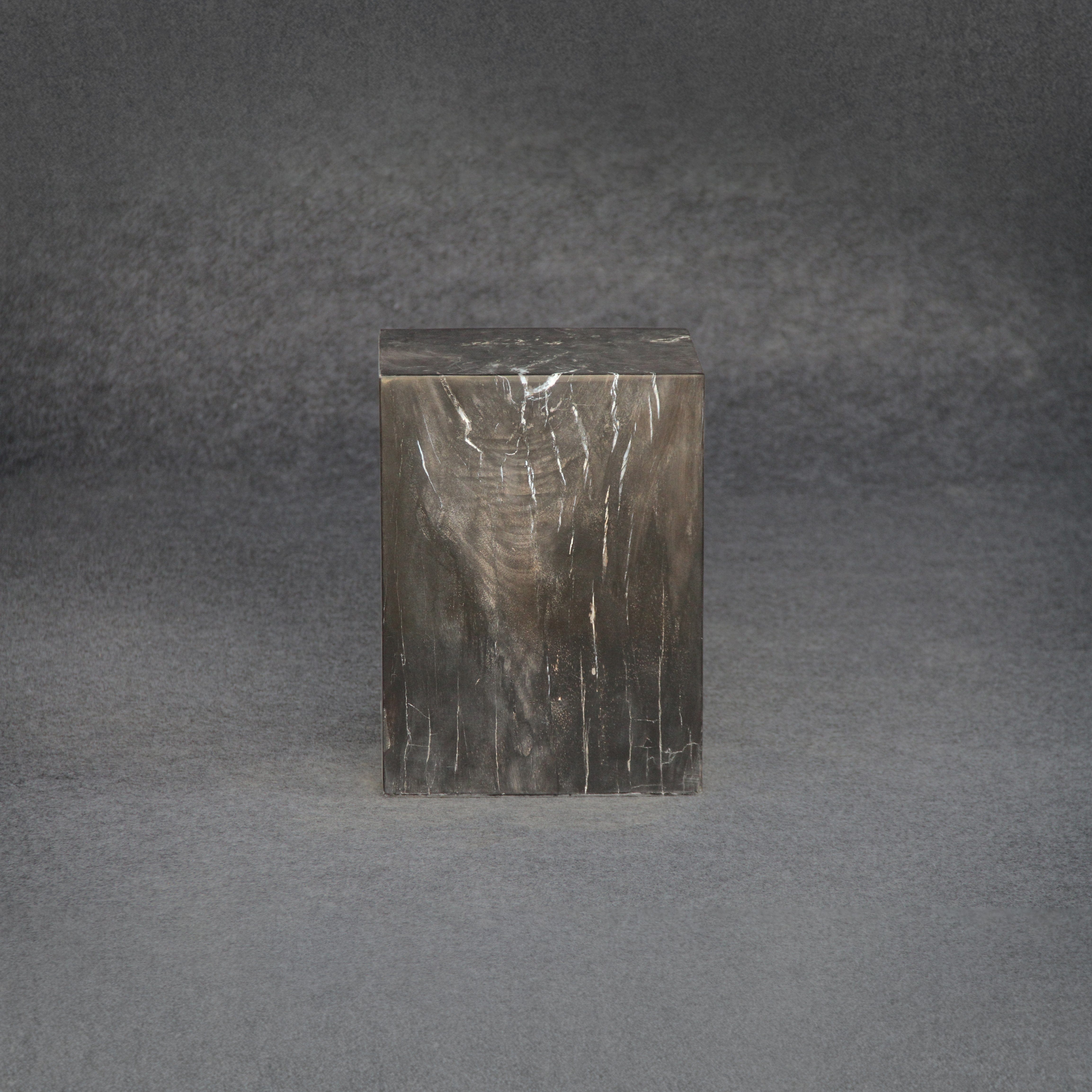 Kalifano Petrified Wood Petrified Wood Square Stump / Stool 18" / 236 lbs PWSS7200.001