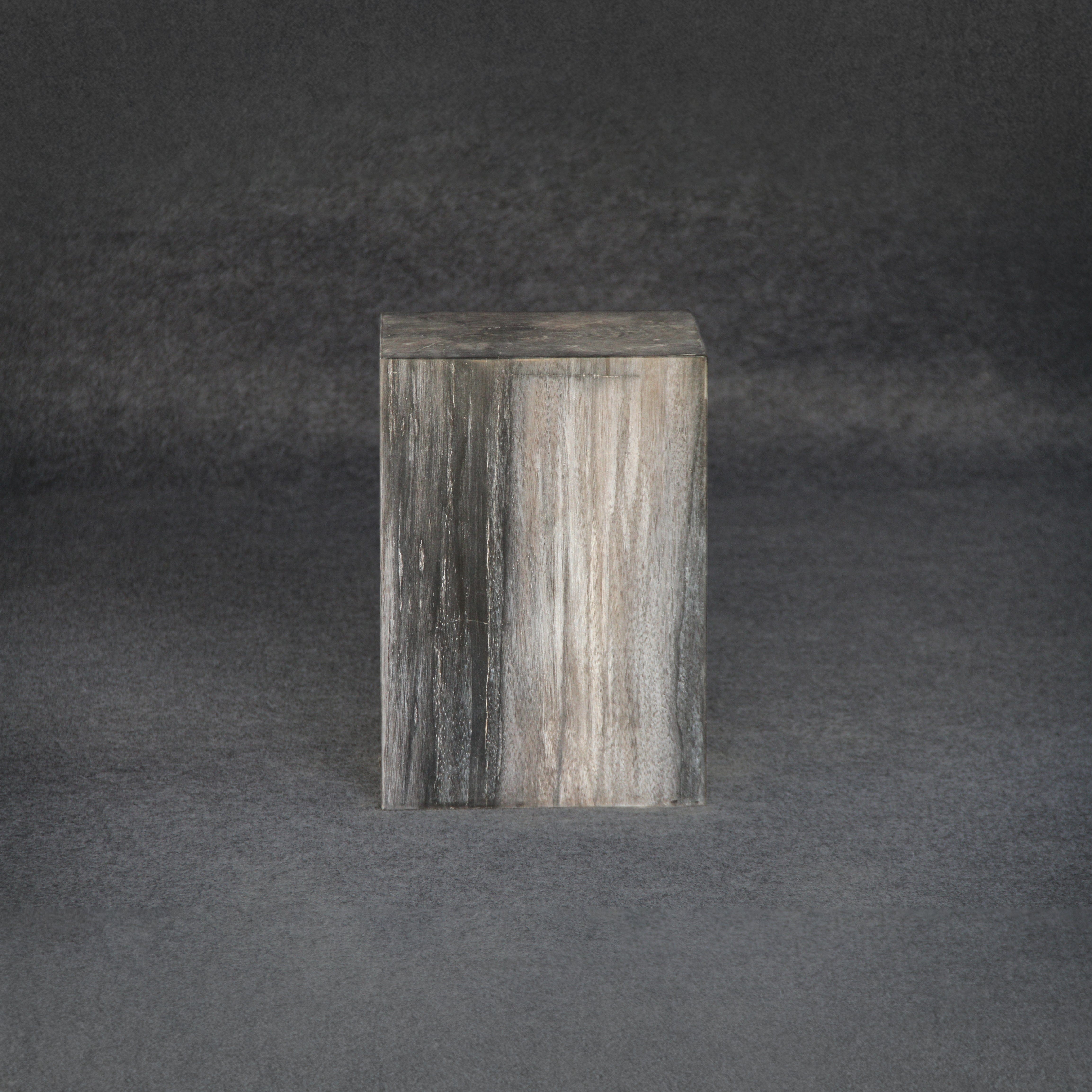 Kalifano Petrified Wood Petrified Wood Square Stump / Stool 18" / 247 lbs PWSS7600.001