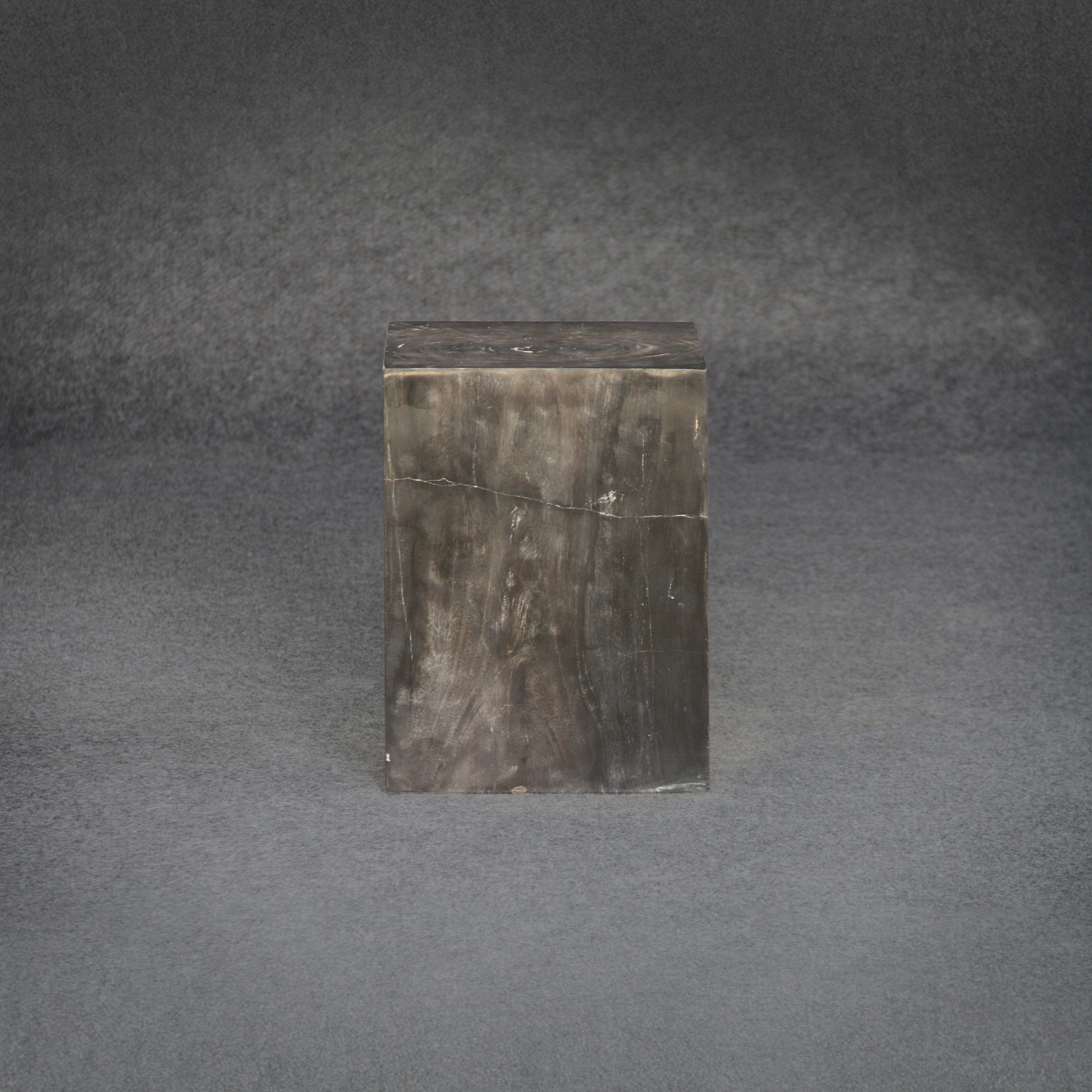 Kalifano Petrified Wood Petrified Wood Square Stump / Stool 18" / 251 lbs PWSS7800.002
