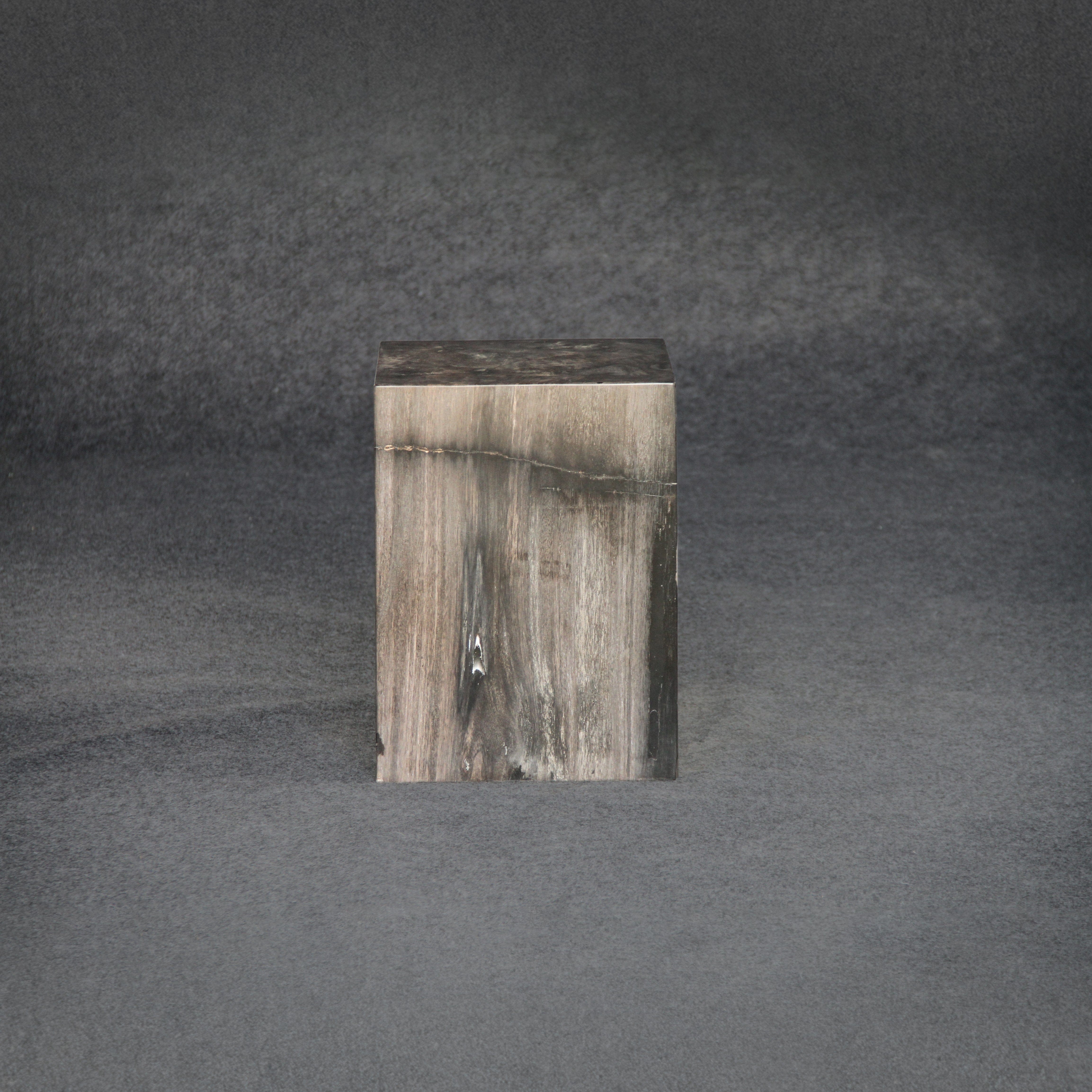 Kalifano Petrified Wood Petrified Wood Square Stump / Stool 18" / 258 lbs PWSS8000.001