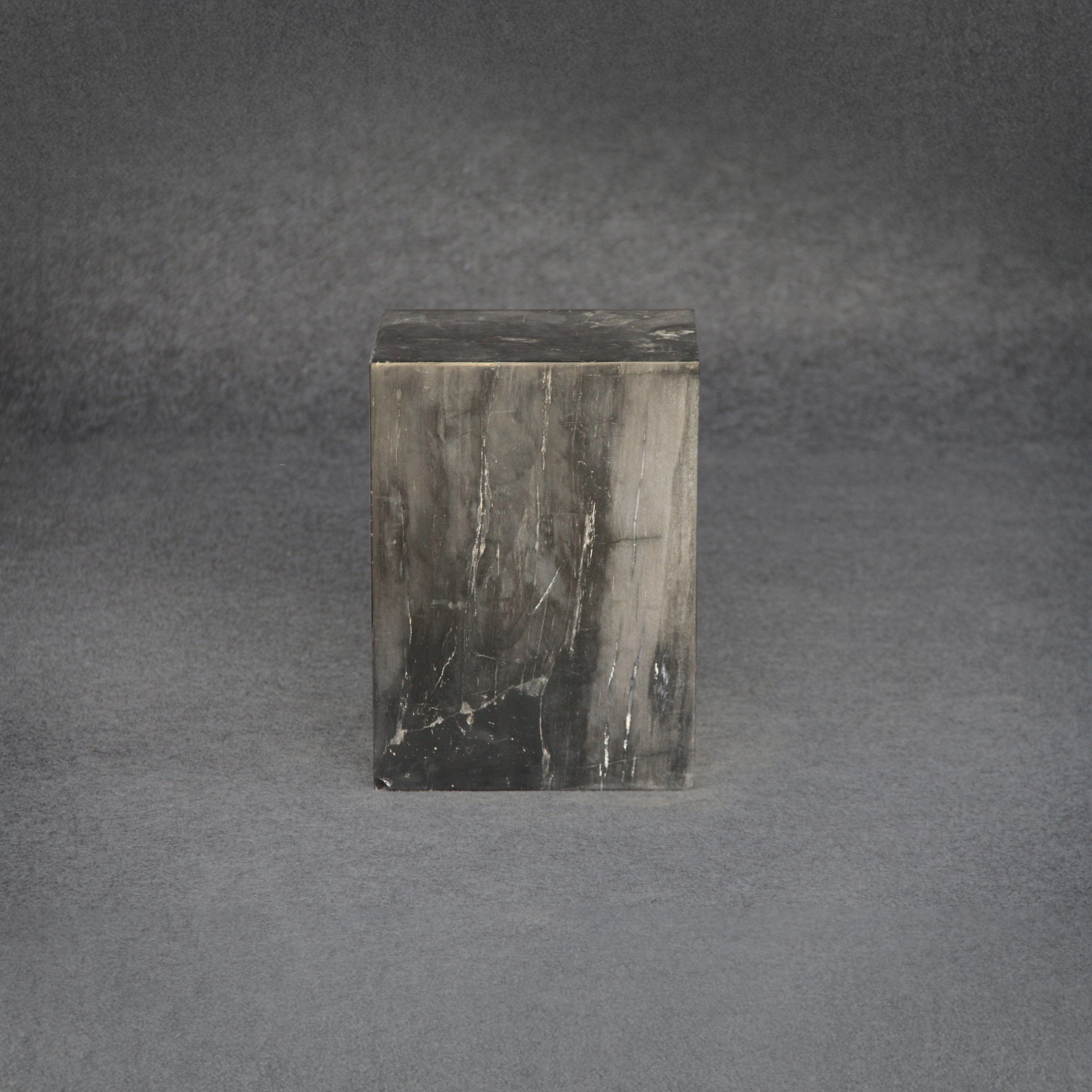 Kalifano Petrified Wood Petrified Wood Square Stump / Stool 18" / 260 lbs PWSS8000.002