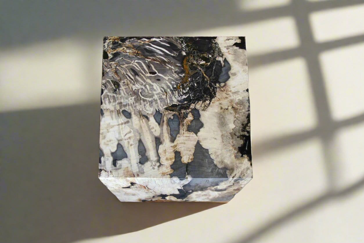 Kalifano Petrified Wood Petrified Wood Square Stump / Stool from Indonesia - 16" / 190 lbs PWSS5200.001