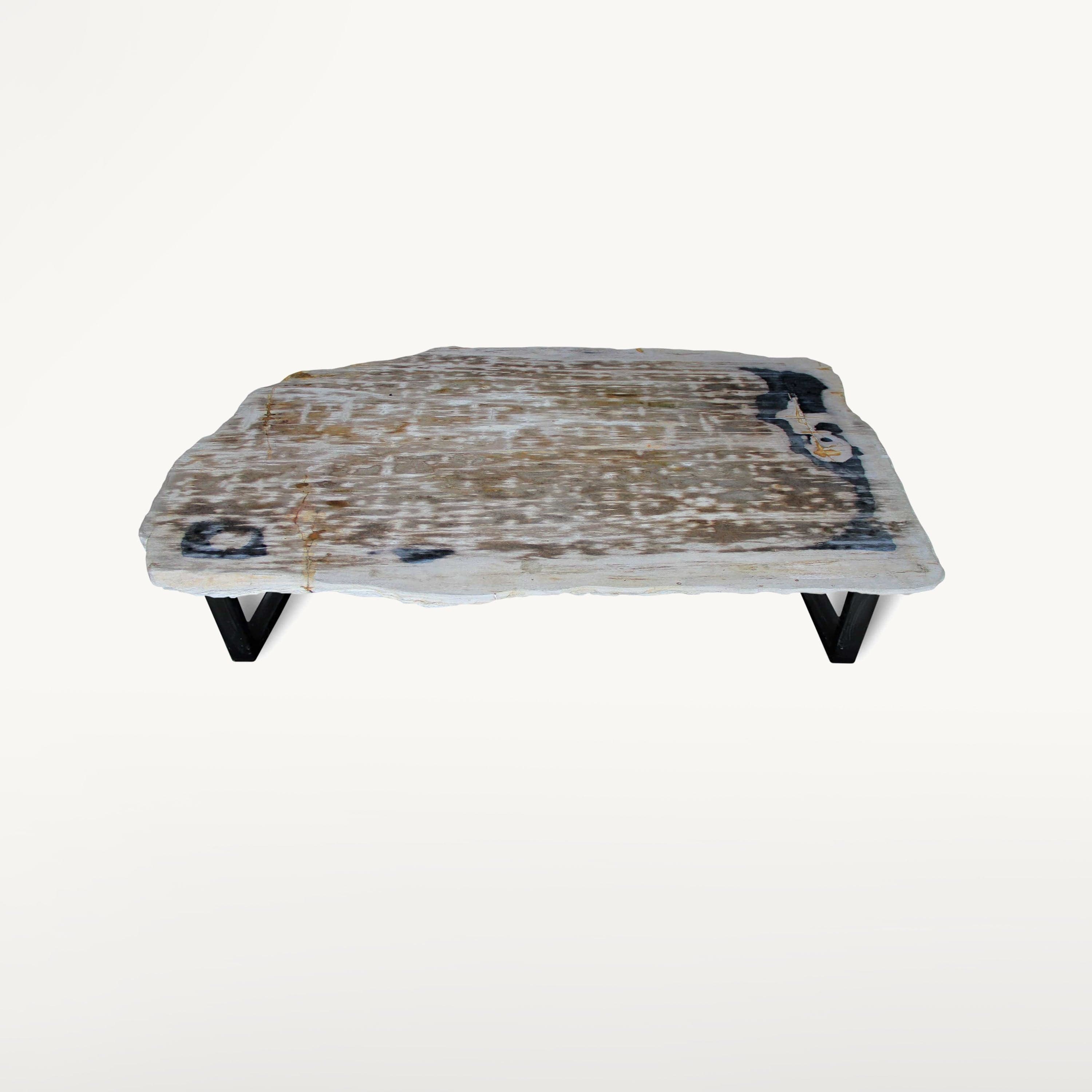 Kalifano Petrified Wood Polished Petrified Wood Table from Indonesia - 64" / 507 lbs PWR18400.001