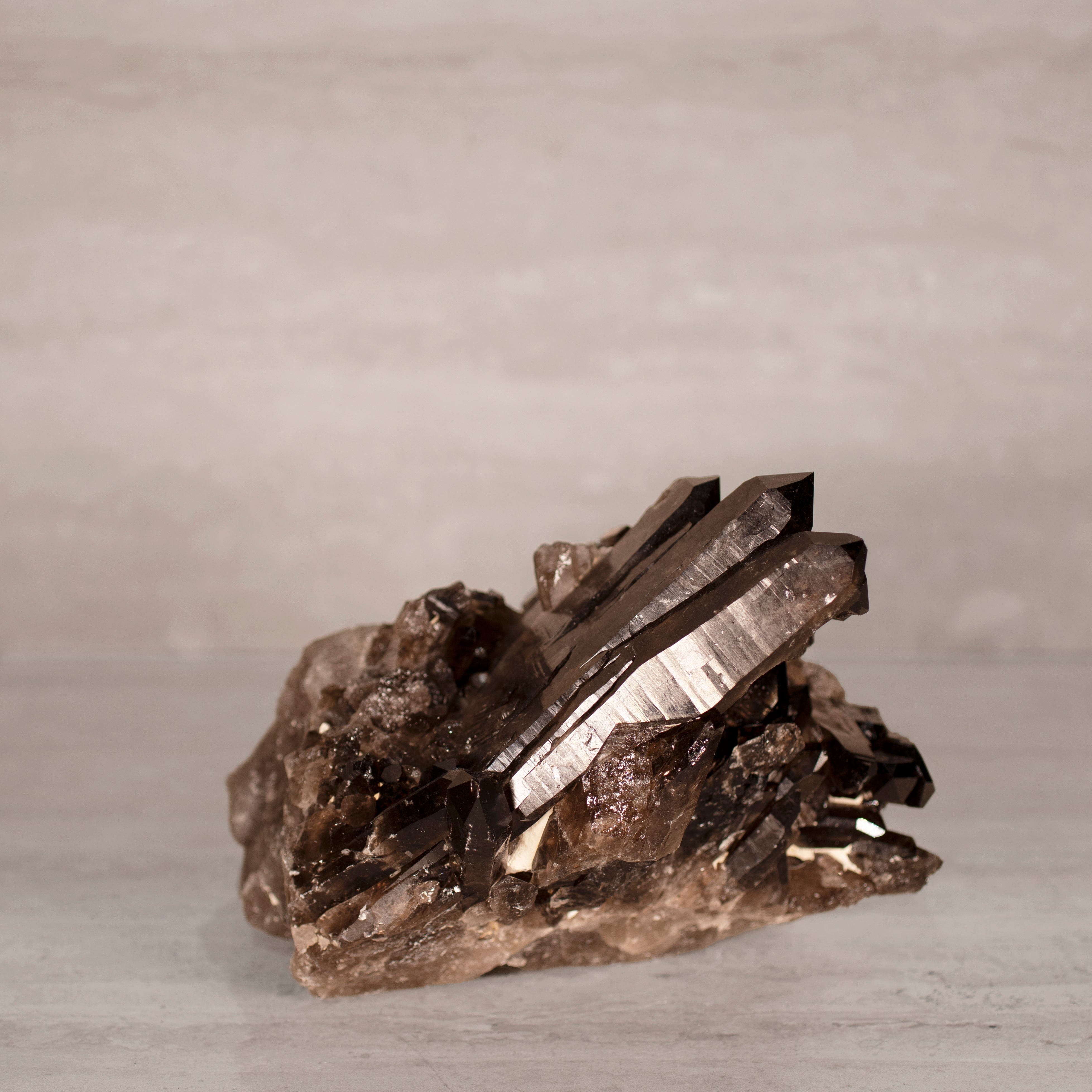 Kalifano Smoky Quartz Smoky Quartz Cluster from Brazil - 11.25" / 12 lbs SQ5400.002