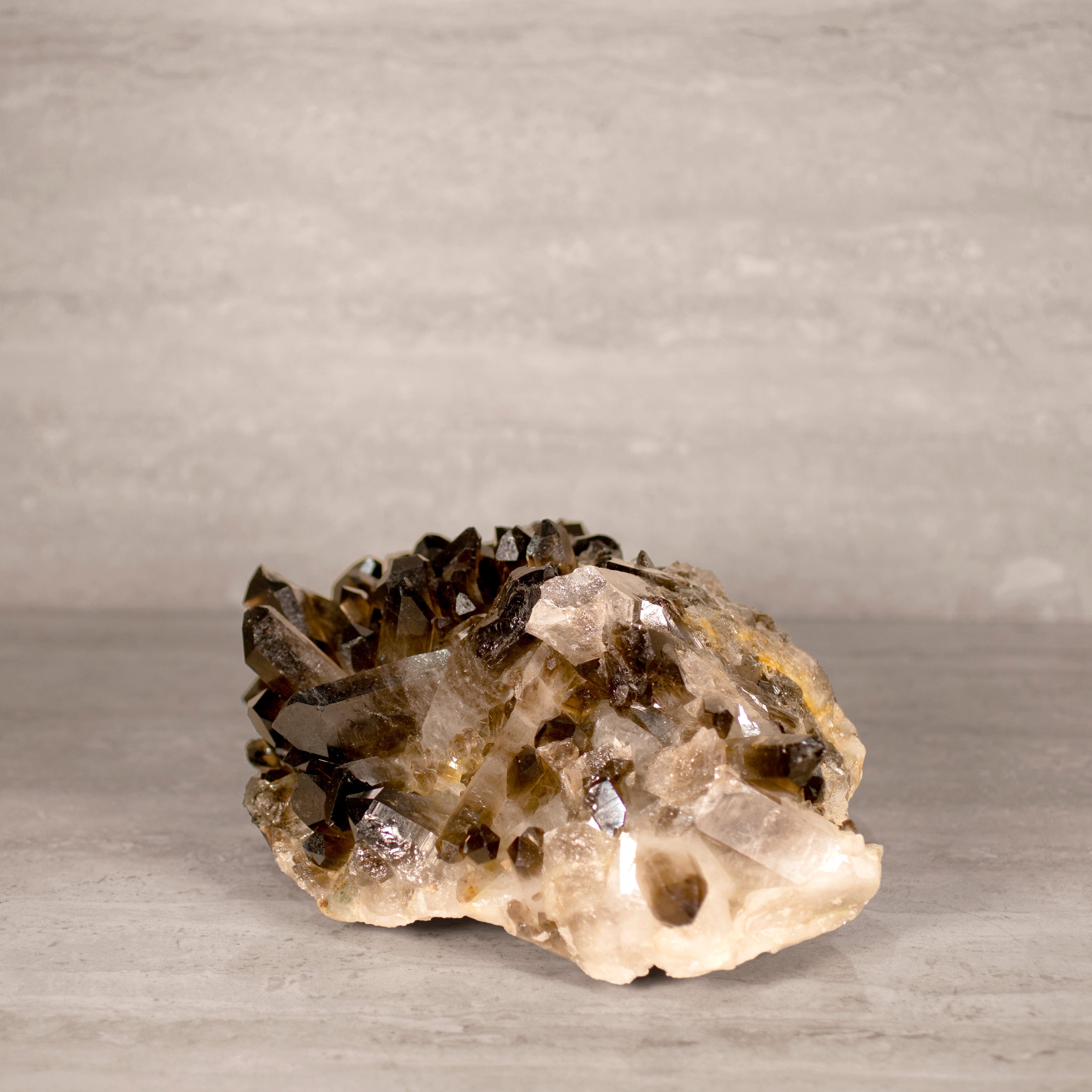 Kalifano Smoky Quartz Smoky Quartz Cluster from Brazil - 11.5" / 14 lbs SQ6000.006