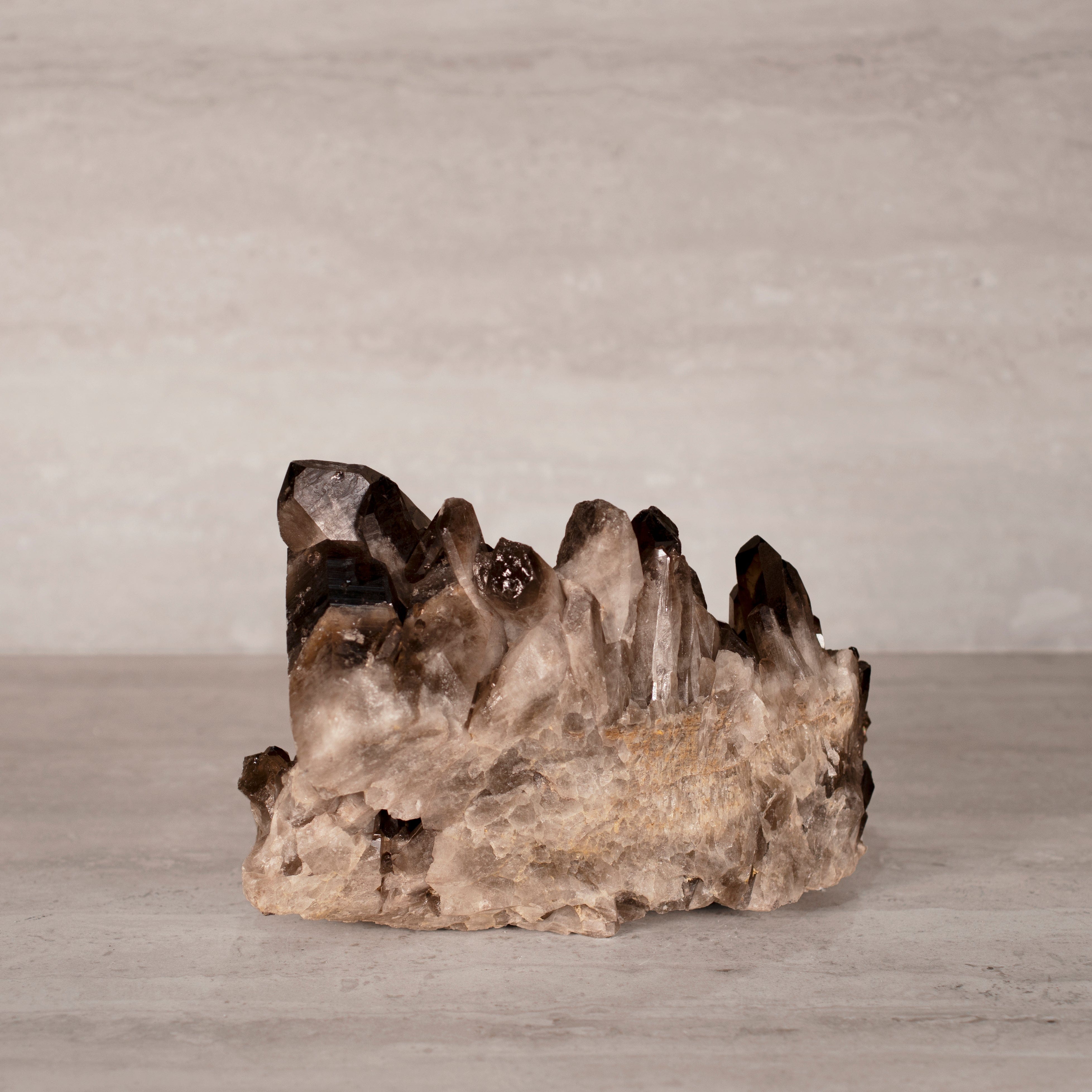 Kalifano Smoky Quartz Smoky Quartz Cluster from Brazil - 8.5" / 9 lbs SQ3800.005