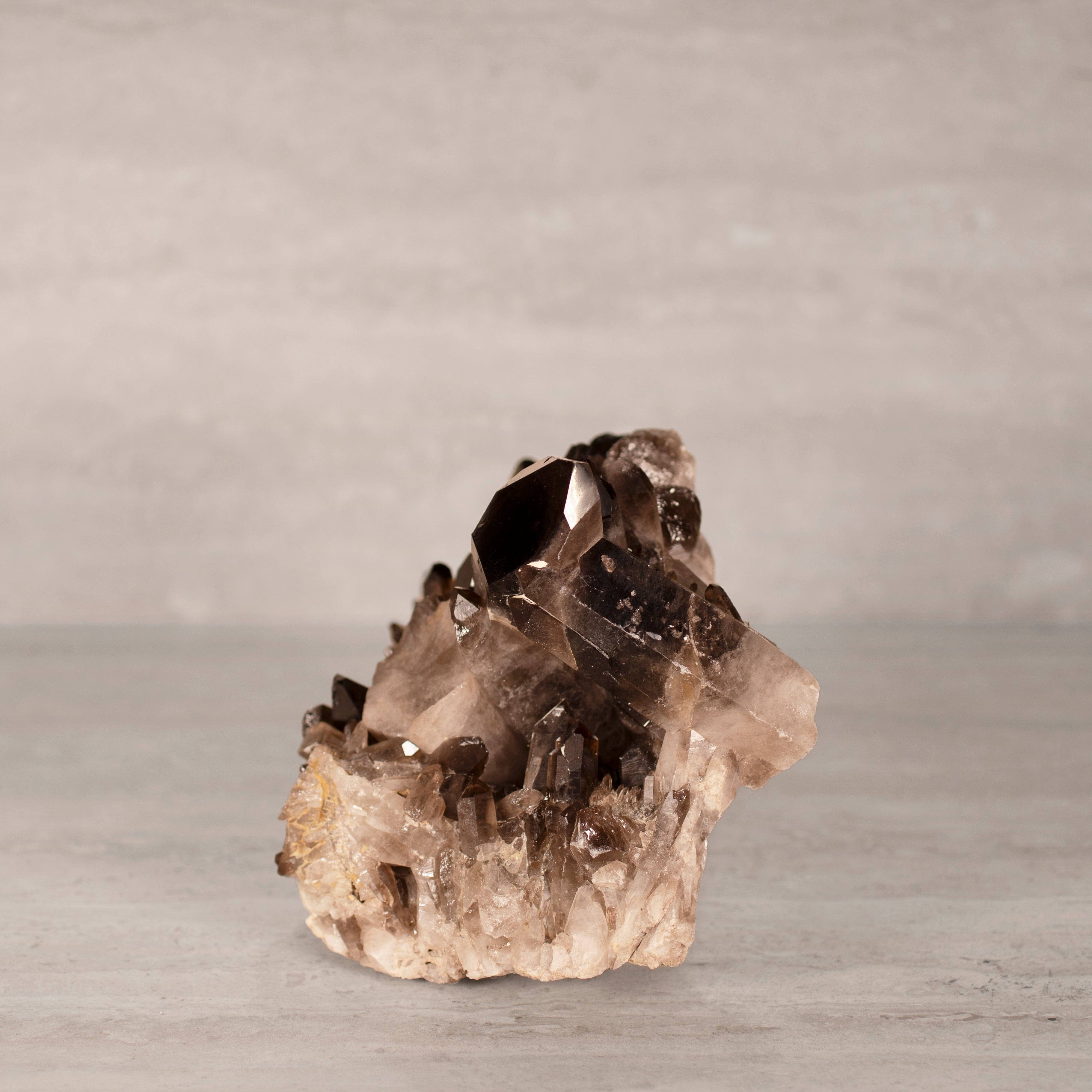 Kalifano Smoky Quartz Smoky Quartz Cluster from Brazil - 8.5" / 9 lbs SQ3800.005