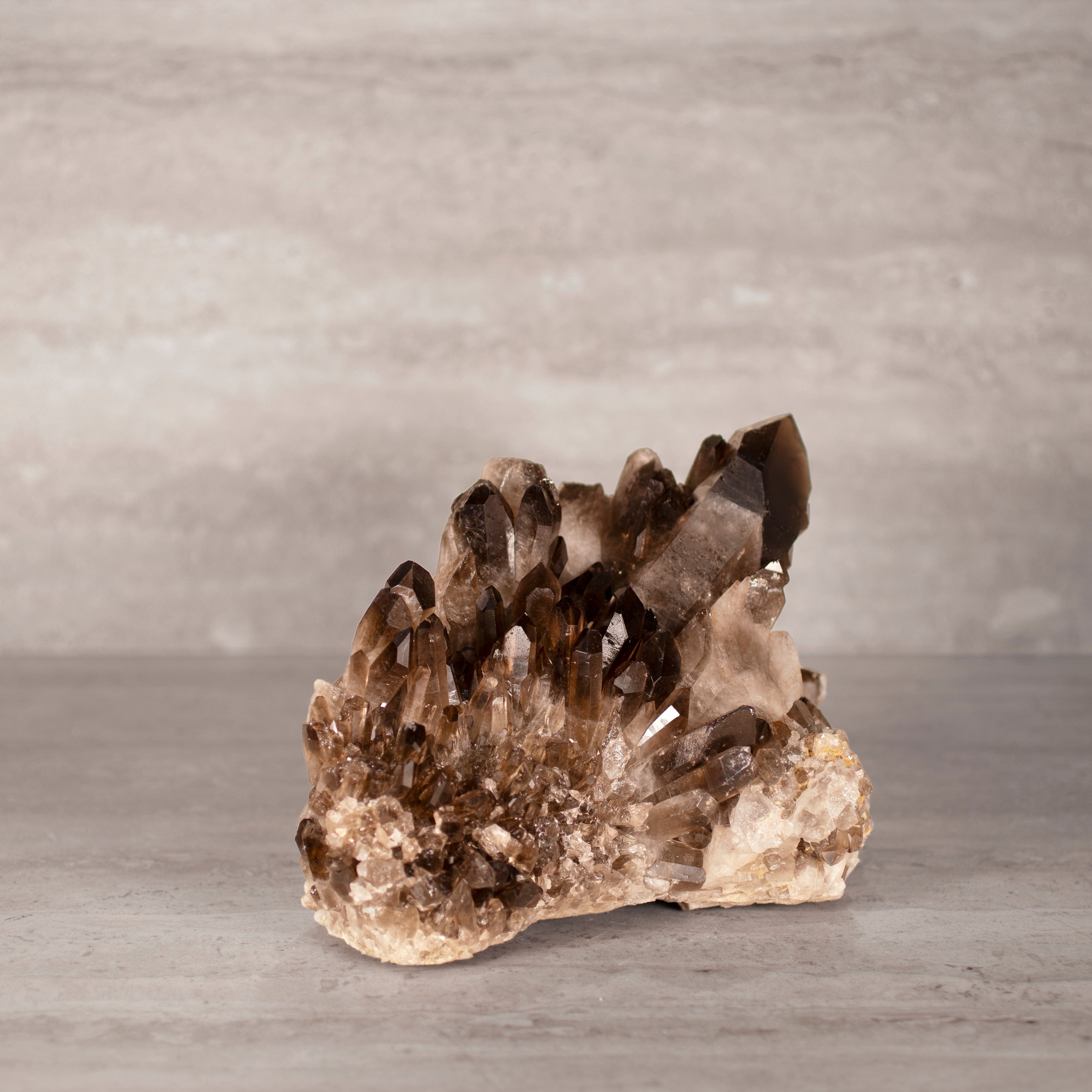 Kalifano Smoky Quartz Smoky Quartz Cluster from Brazil - 8.5" / 9 lbs SQ3800.005