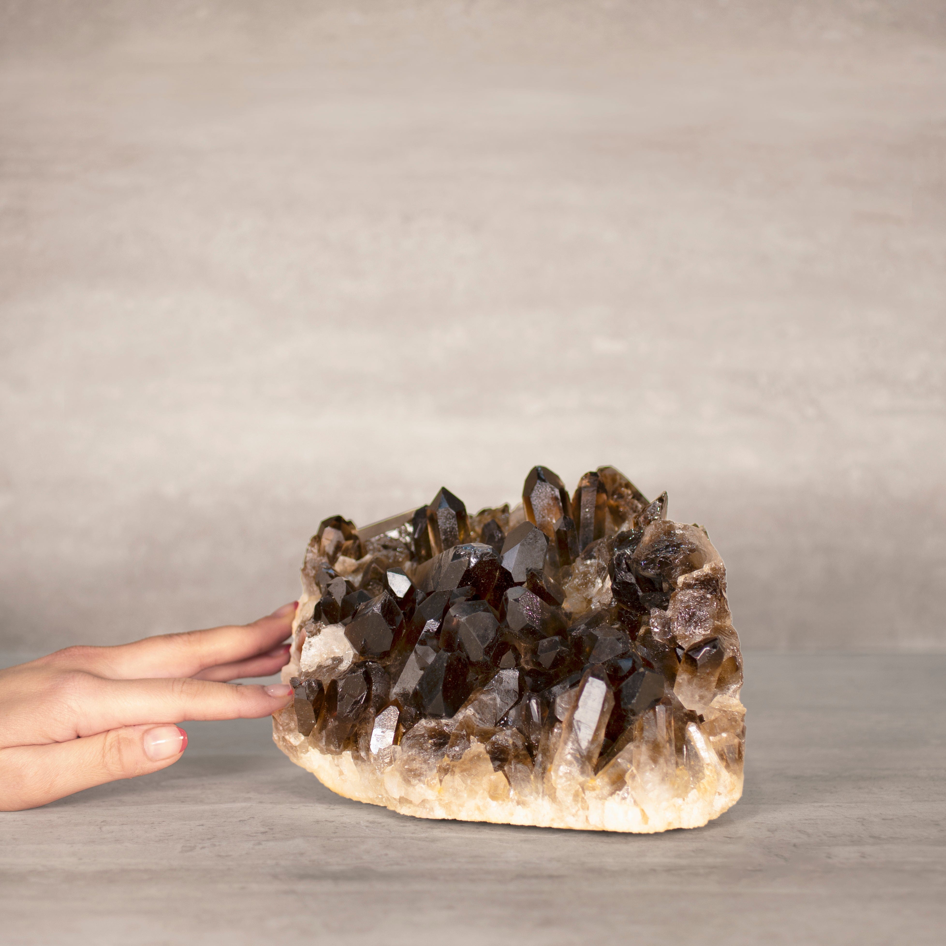 Kalifano Smoky Quartz Smoky Quartz Cluster from Brazil - 8.5" / 9 lbs SQ4200.003