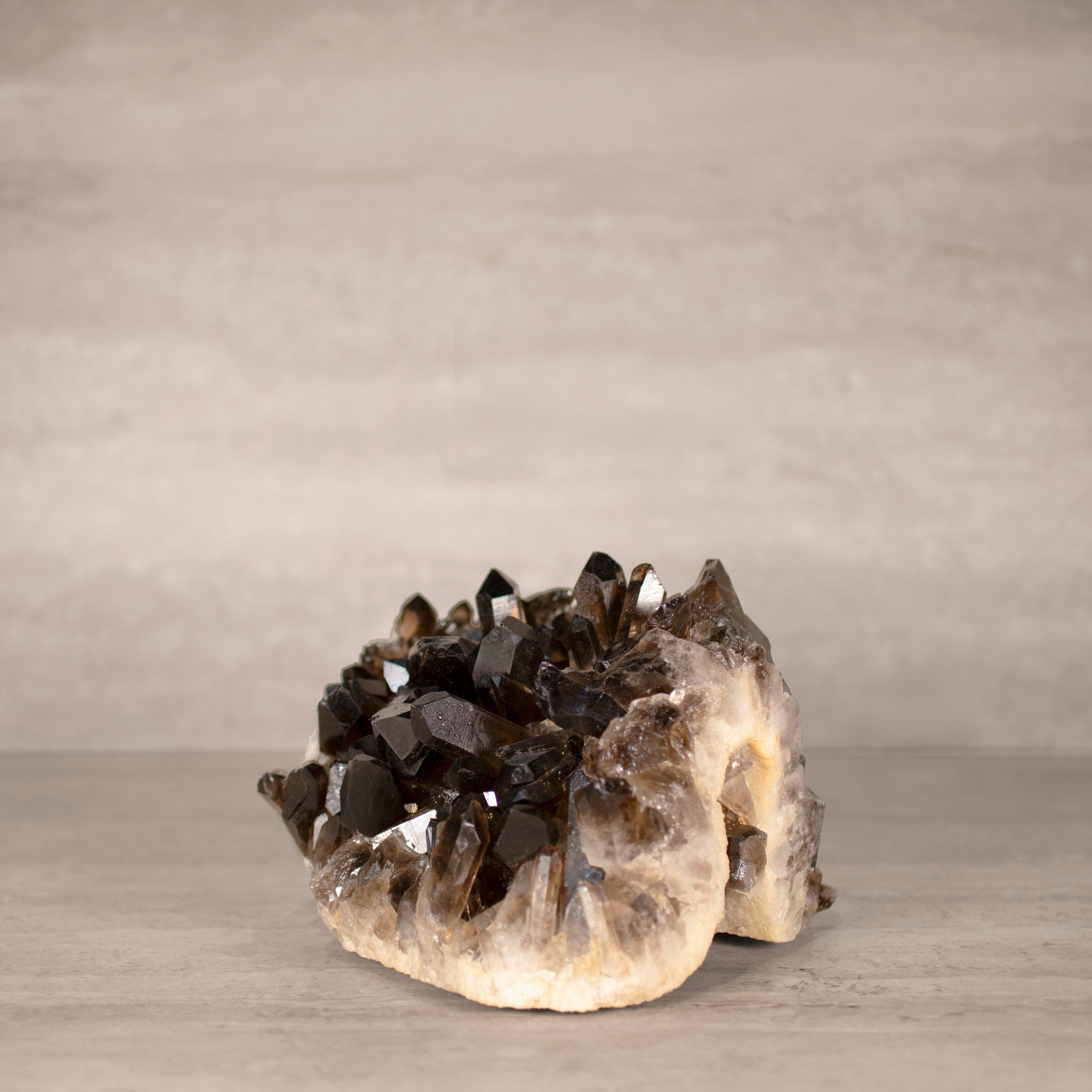 Kalifano Smoky Quartz Smoky Quartz Cluster from Brazil - 8.5" / 9 lbs SQ4200.003
