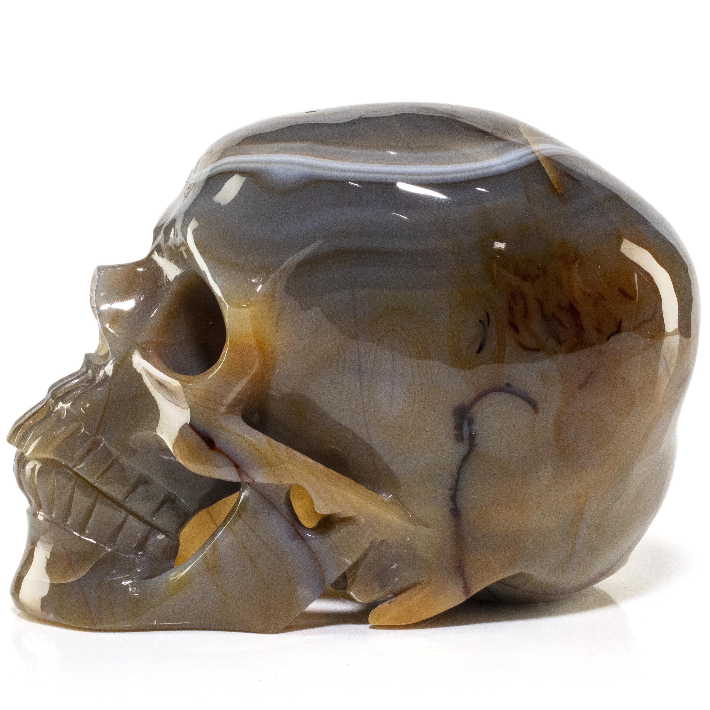 Kalifano Agate Agate Skull Carving 7" / 3,219g SK7600-AG.001