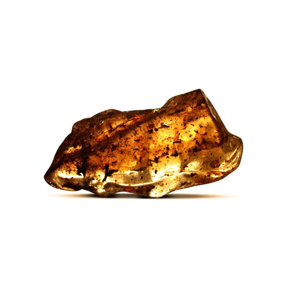 Kalifano Amber AMBER2500.001 - Copal Amber Columbia- 431 Grams 4.25" x 1.25" x 9" AMBER2500.001