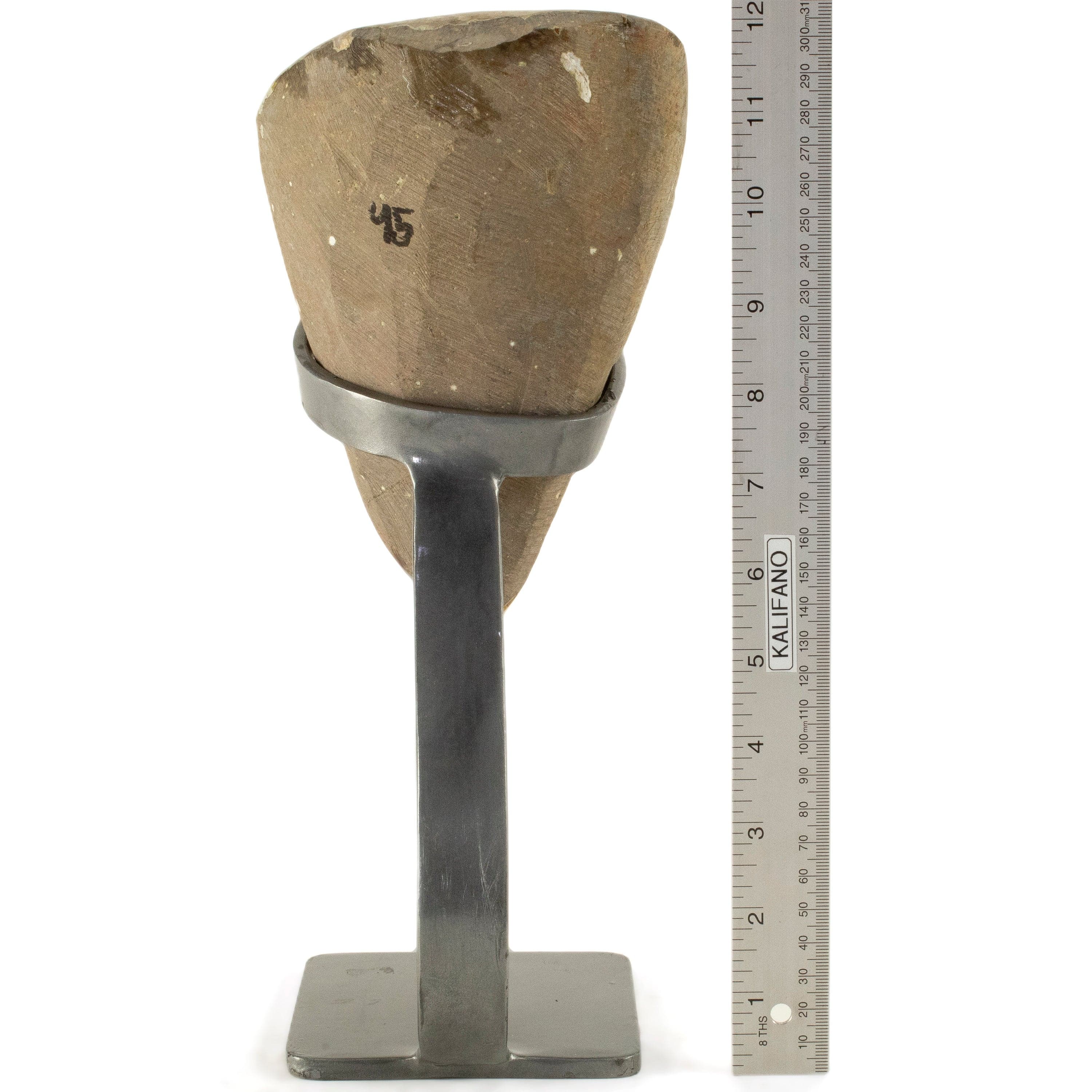 Kalifano Amethyst Uruguayan Amethyst Geode on Custom Stand - 7.1 lbs / 11.5 in. UAG3200.009