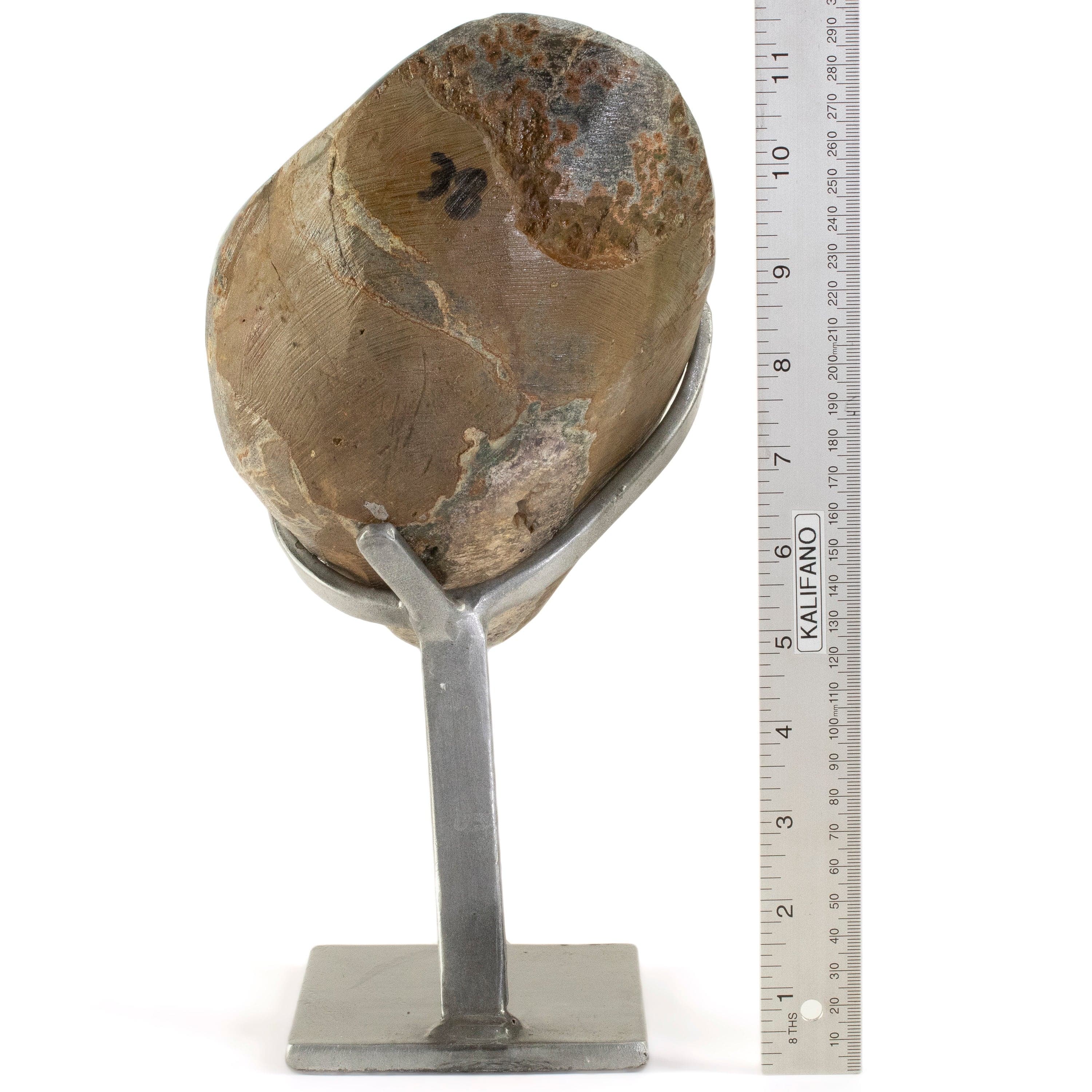Kalifano Amethyst Uruguayan Amethyst Geode on Custom Stand - 9 lbs / 11.5 in. UAG4100.004