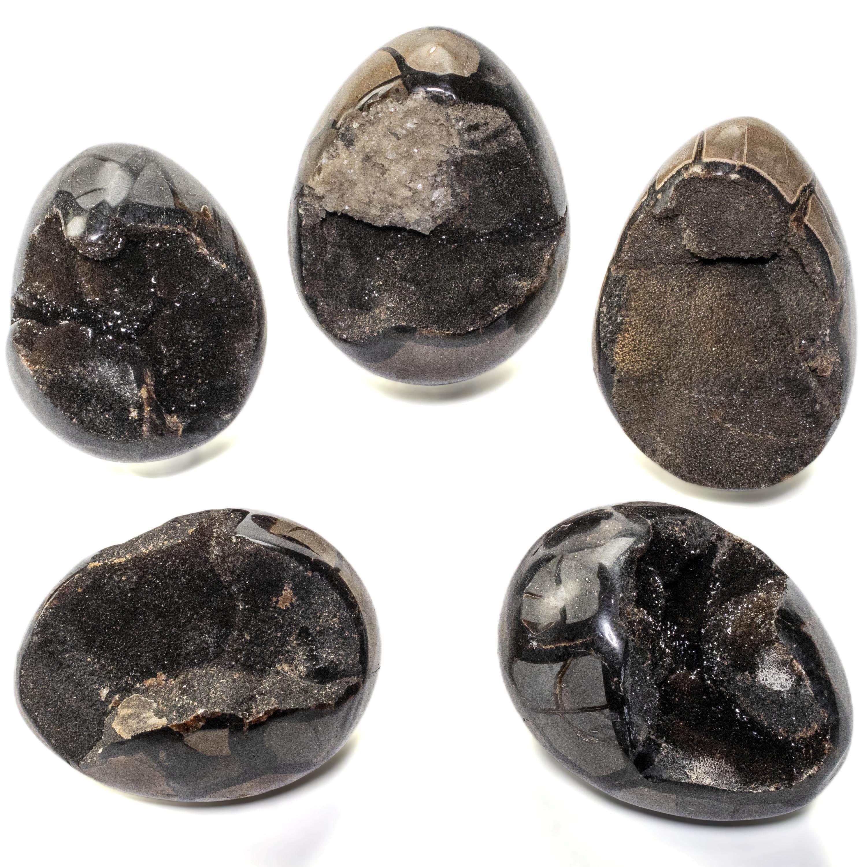 Kalifano Ammonites & Orthoceras Natural Septarian Druzy Dragon Egg from Madagascar - 5" / 1,150 grams DE500-SP