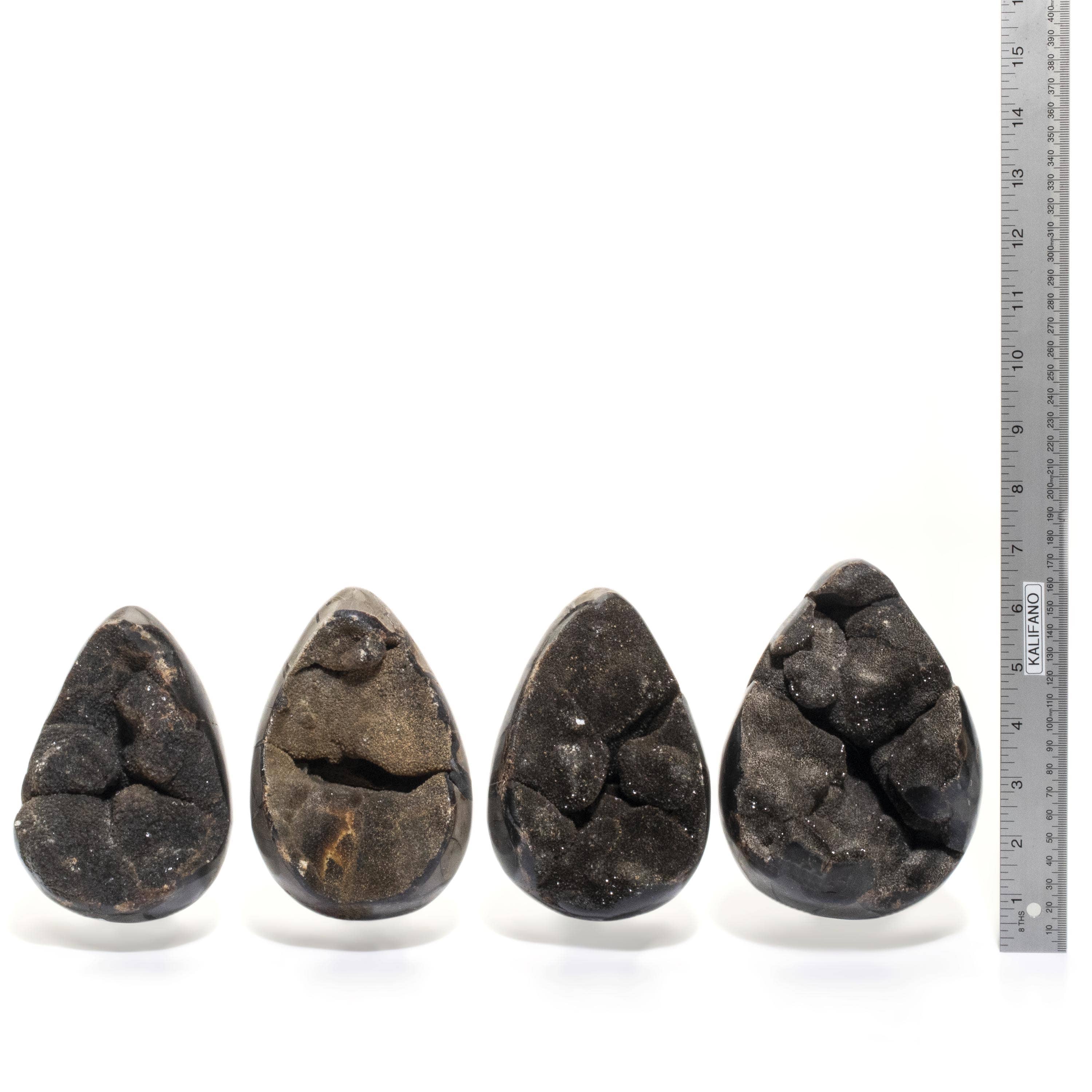 Kalifano Ammonites & Orthoceras Natural Septarian Druzy Dragon Egg from Madagascar - 6" / 1,450 grams DE700-SP