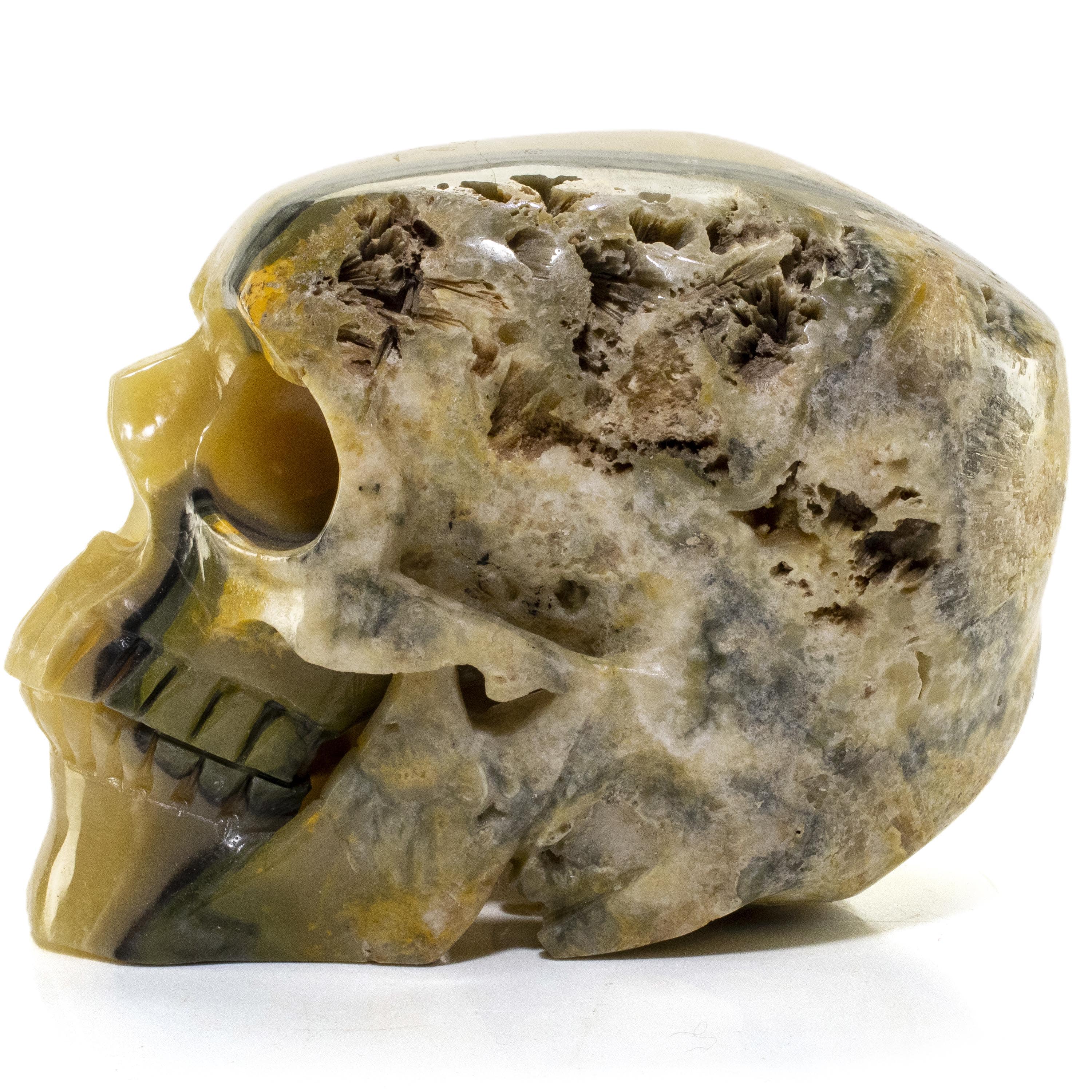 Kalifano Bumblebee Jasper Bumblebee Jasper Skull Carving 6" / 2,480g SK6000-BB.001