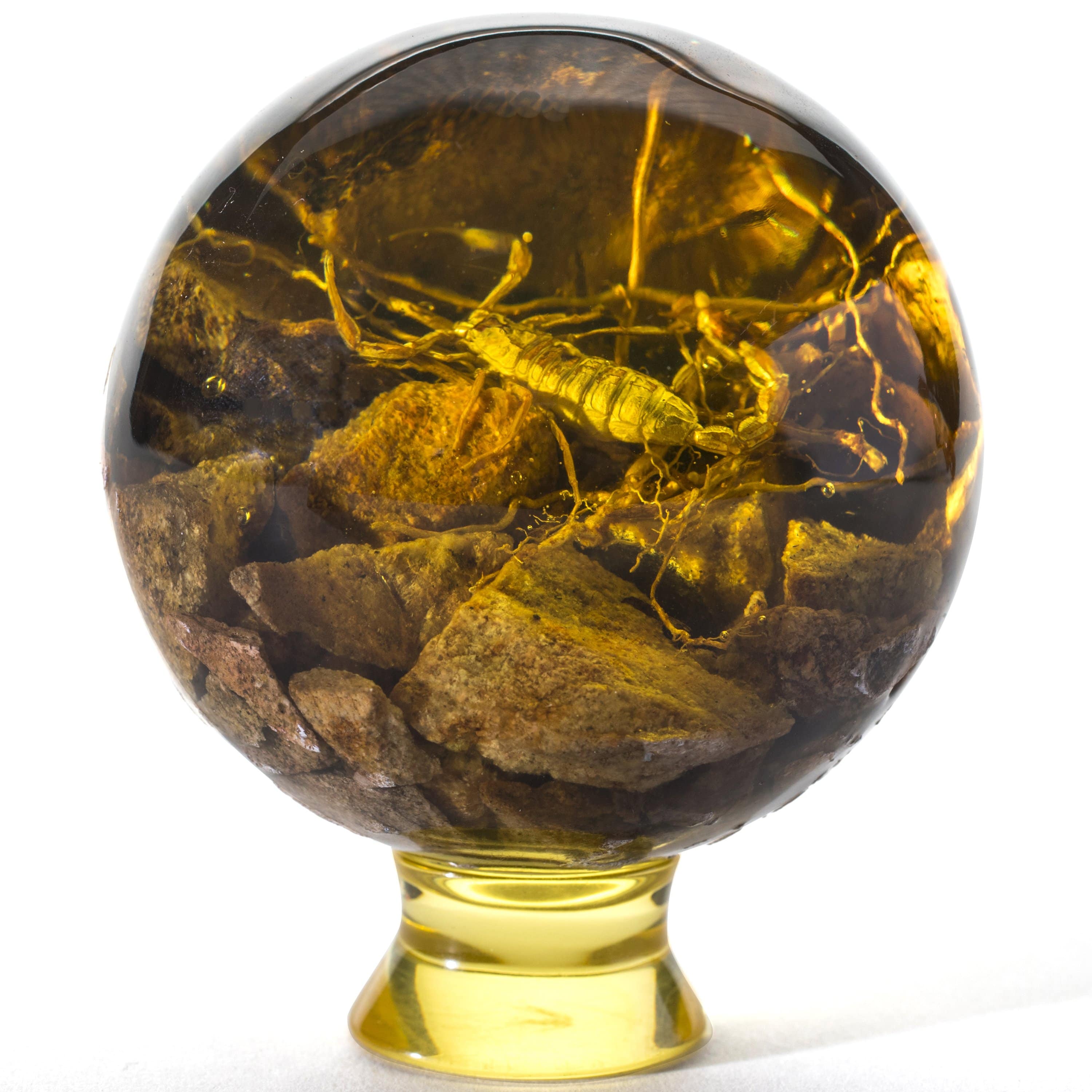 Kalifano Fossils & Minerals AMB300 - Cultured Amber Sphere w/ Scorpio AMB300