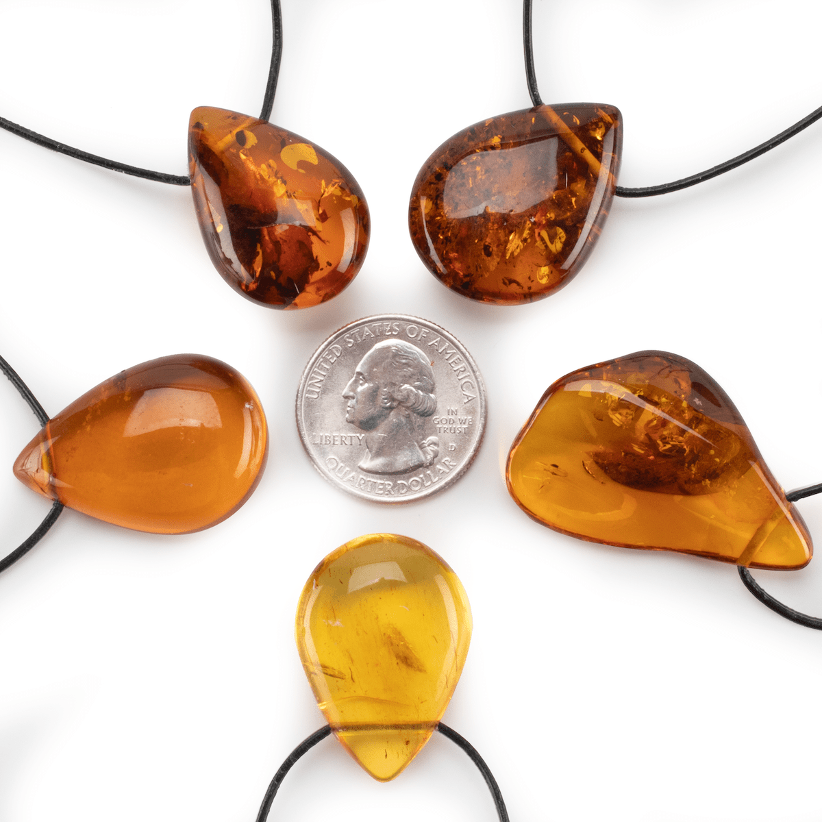 Kalifano Fossils & Minerals AMBN140 - Baltic Amber Necklace AMBN140
