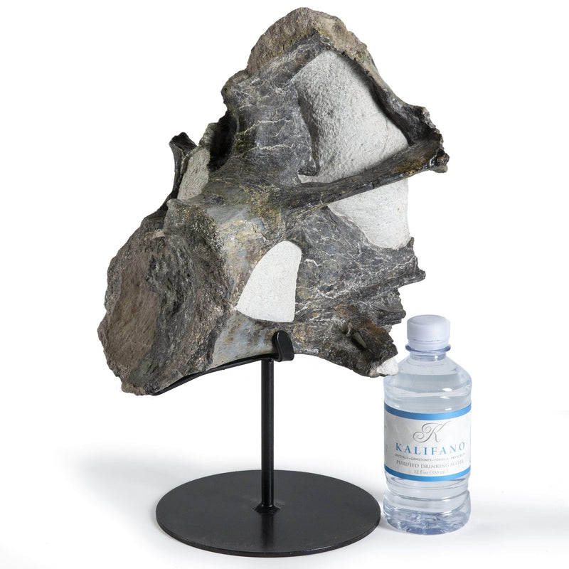 Kalifano Fossils & Minerals Apatasaurus Cervical Vertibrate Authentic Dinosaur Bone DB12000.001