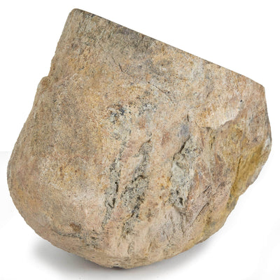 Kalifano Fossils & Minerals Apatosaurus Tibia End Bone Marrow Authentic Dinosaur Bone DB4800.001