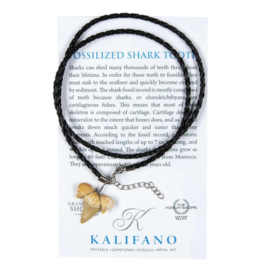 Kalifano Fossils & Minerals Fossil Shark Tooth Necklace STN59