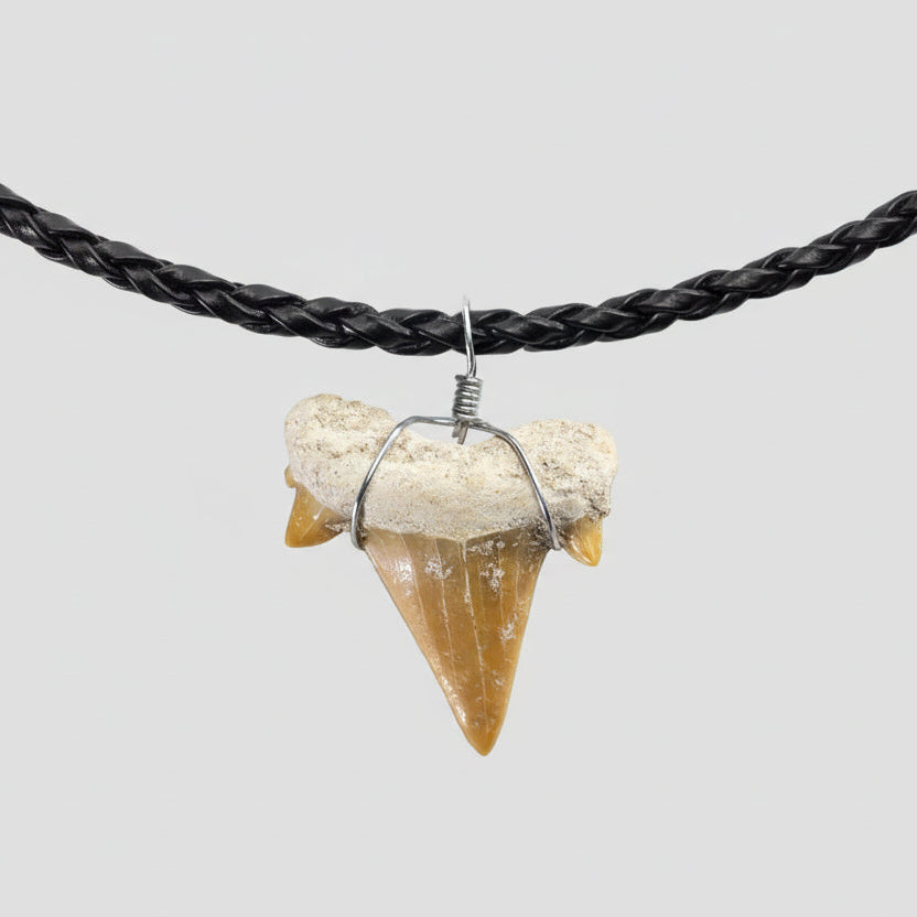 Kalifano Fossils & Minerals Fossil Shark Tooth Necklace STN59