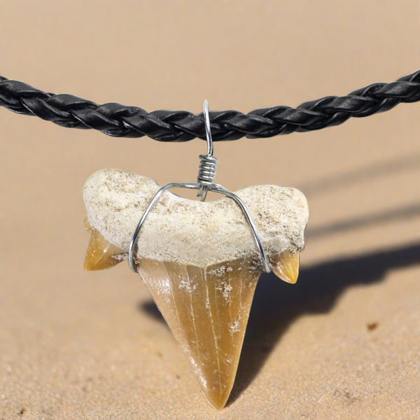 KALIFANO Moroccan Fossil Shark Tooth Necklace: A Prehistoric