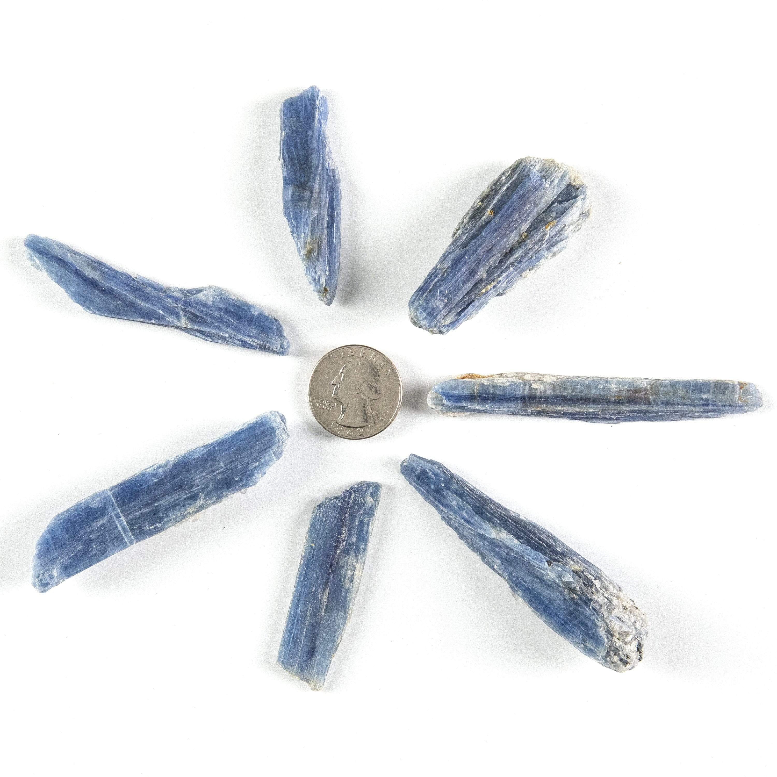 Kalifano Fossils & Minerals KYNT20 2 Pack - Kyanite - Brazil KYNT20-X2