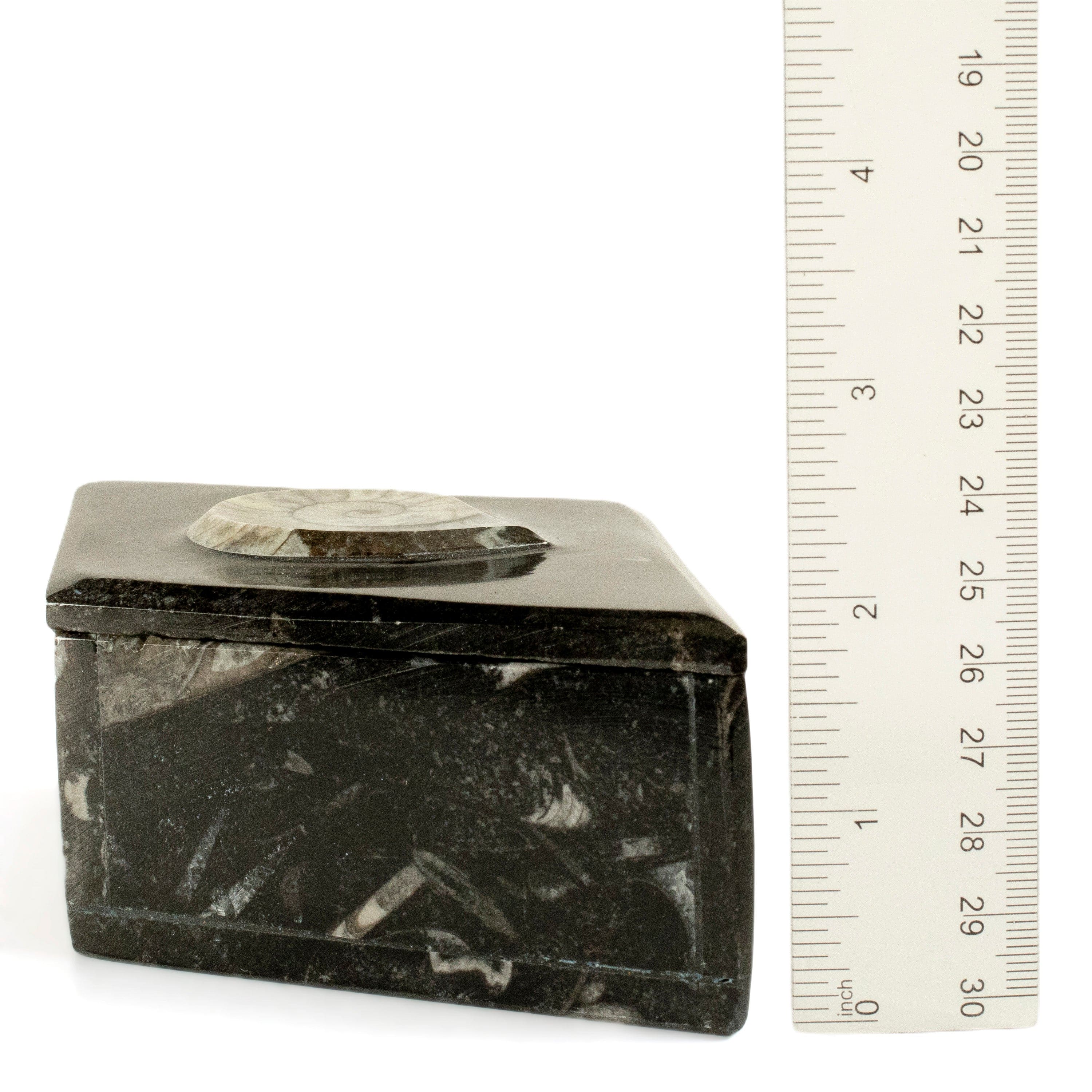 Kalifano Fossils & Minerals Natural Ammonite Vanity Box from Morocco - Diamond Shaped & Black SVA-AMM-BK2
