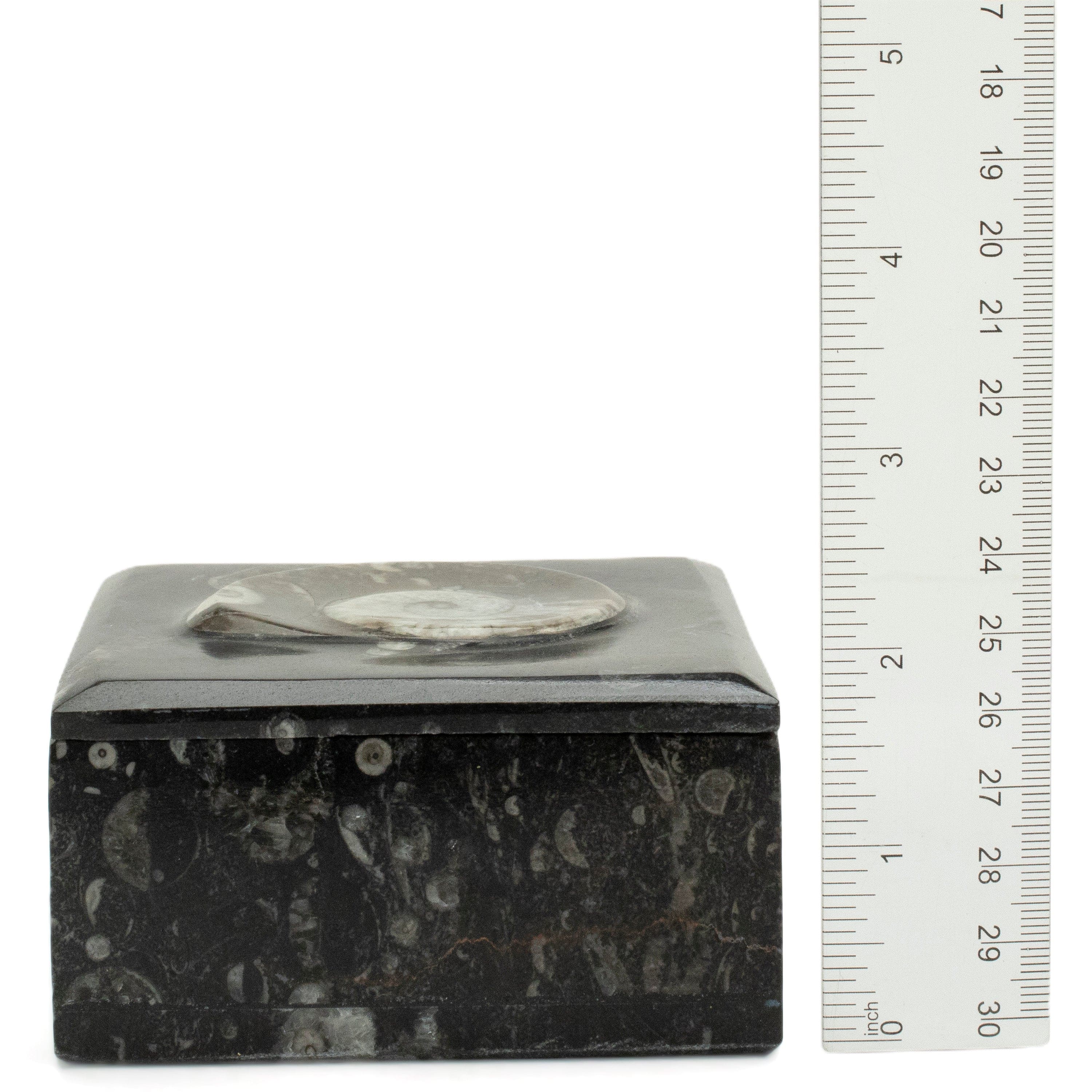 Kalifano Fossils & Minerals Natural Ammonite Vanity Box from Morocco - Square & Black SVA-AMM-BK1