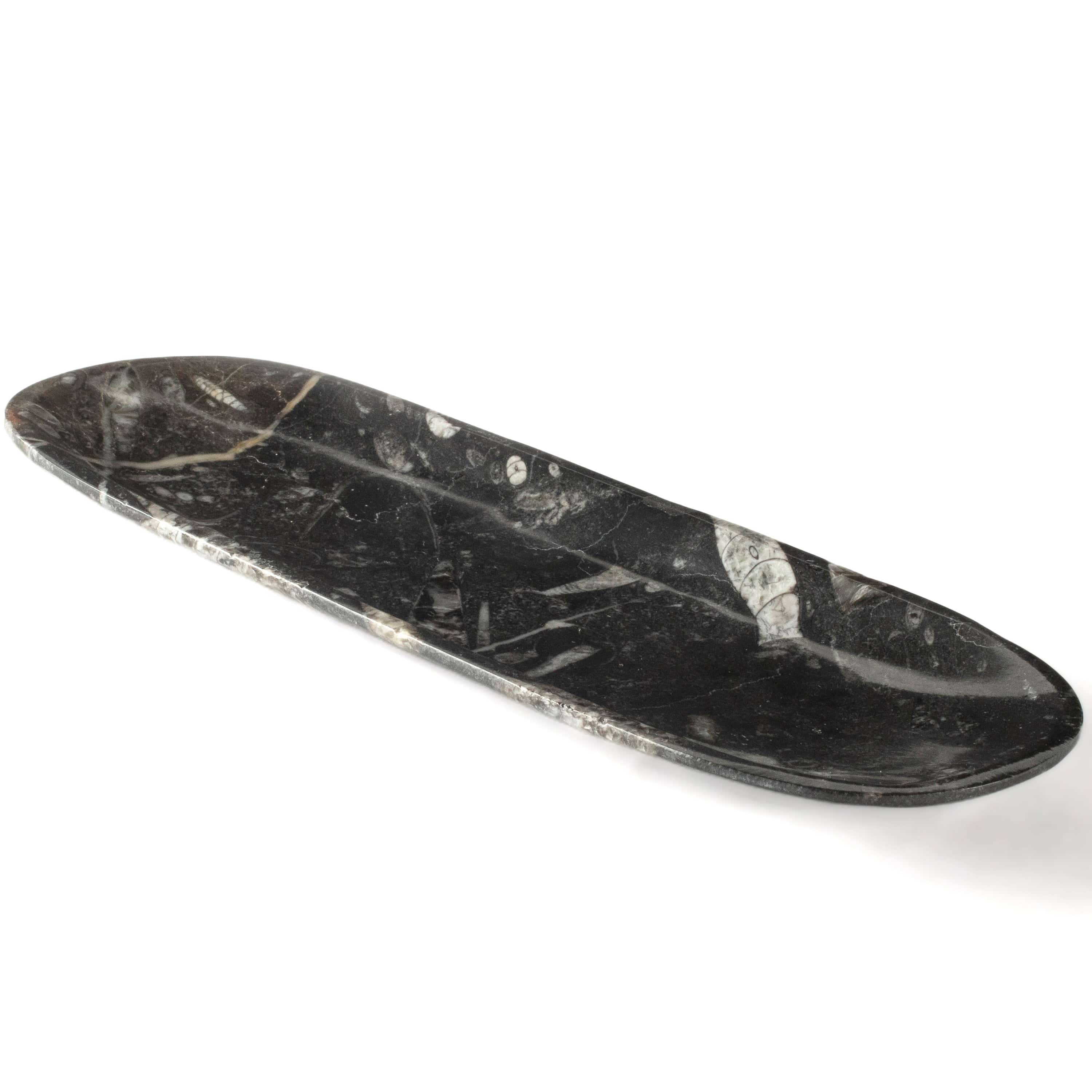 Kalifano Fossils & Minerals Natural Black Orthoceras Long Oval Bowl from Morocco- 12" BORO240