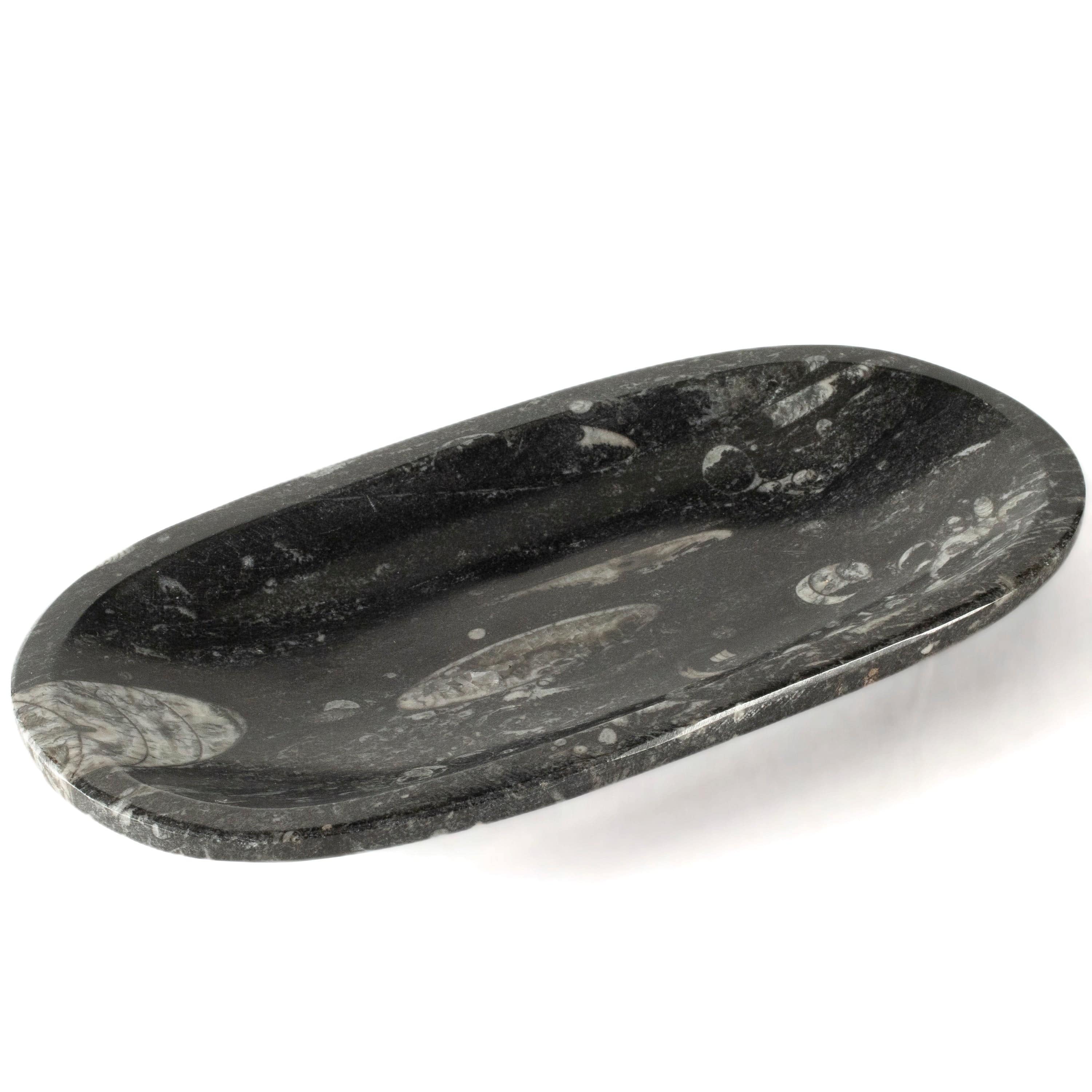 Kalifano Fossils & Minerals Natural Black Orthoceras Oval Bowl from Morocco - 7.5" BORO120