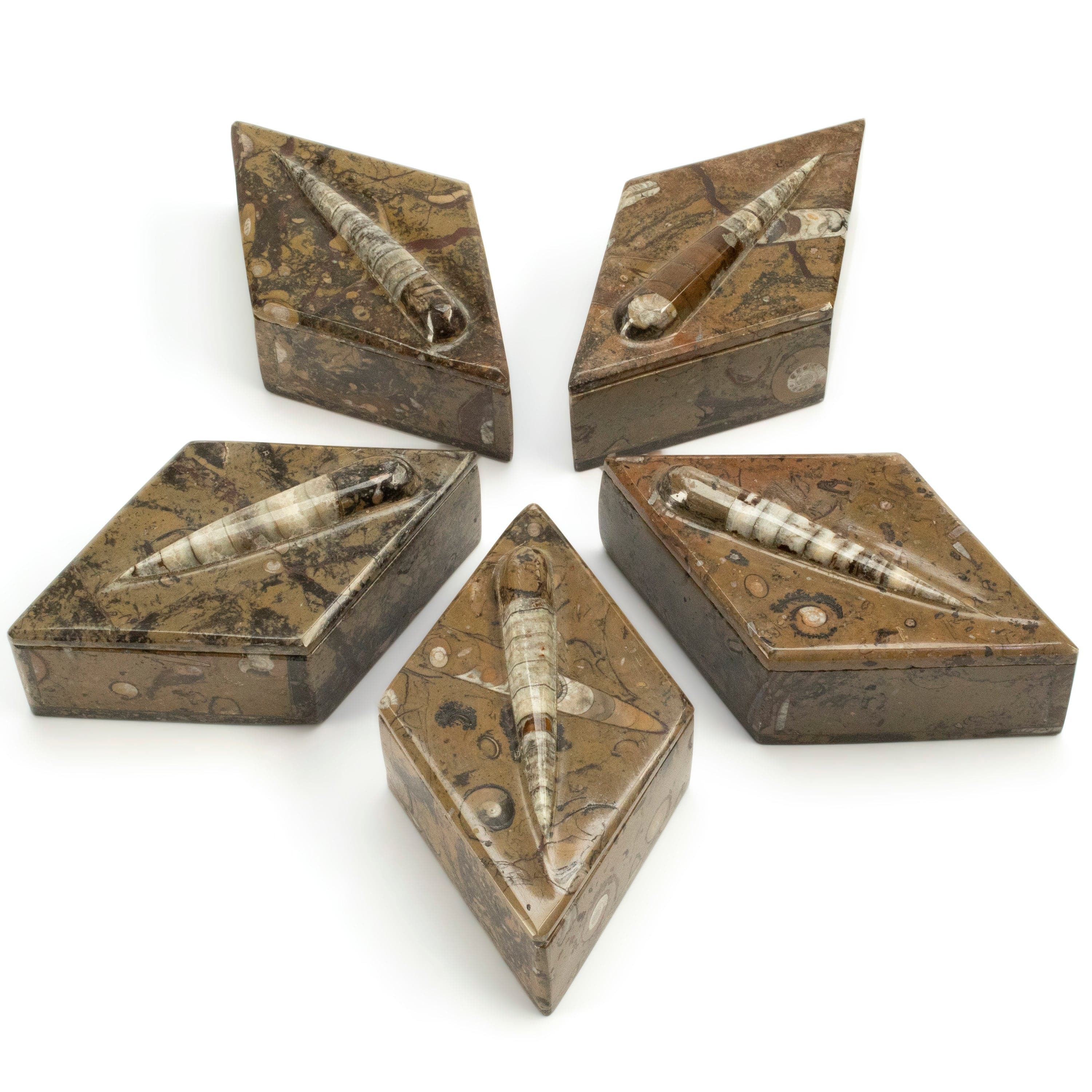 Kalifano Fossils & Minerals Natural Orthoceras Vanity Box from Morocco - Diamond Shaped & Brown SVA-ORO-BN1