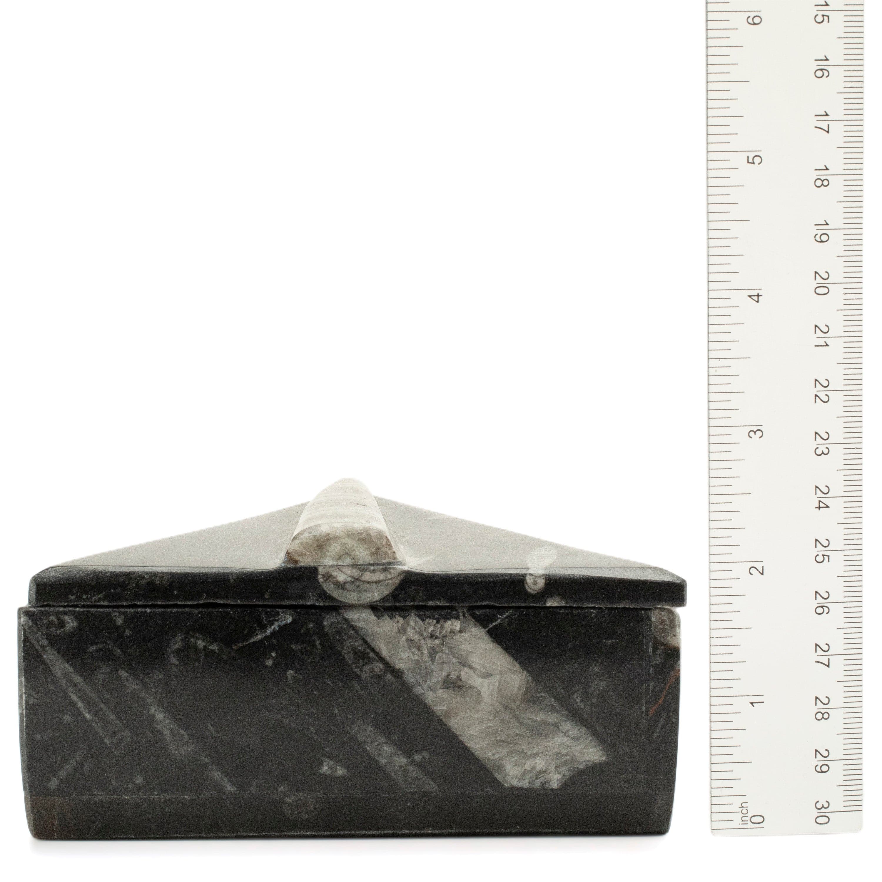 Kalifano Fossils & Minerals Natural Orthoceras Vanity Box from Morocco - Triangular & Black SVA-ORO-BK1
